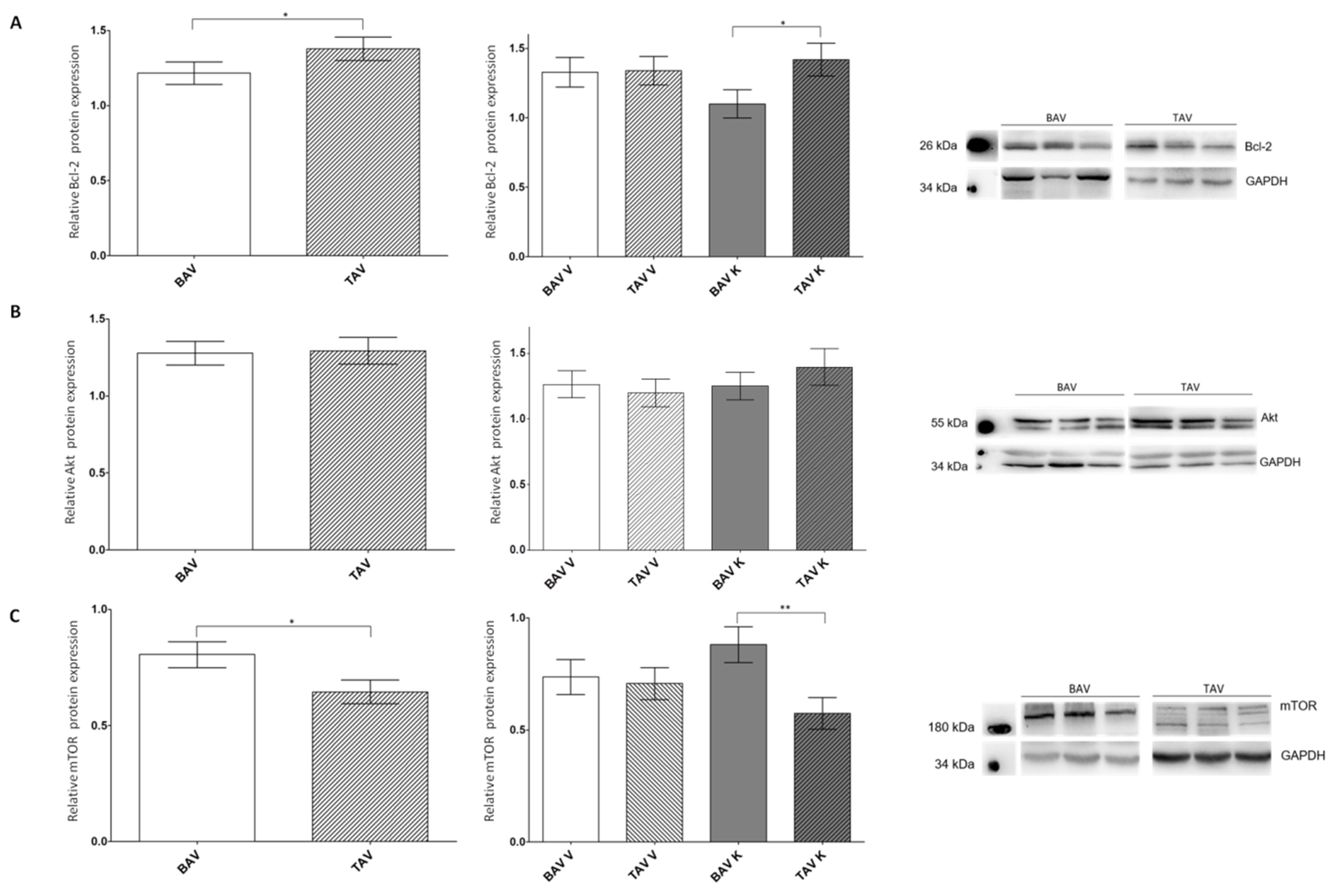 Ijms 24 07429 g003 Ijms 24 07429 g003