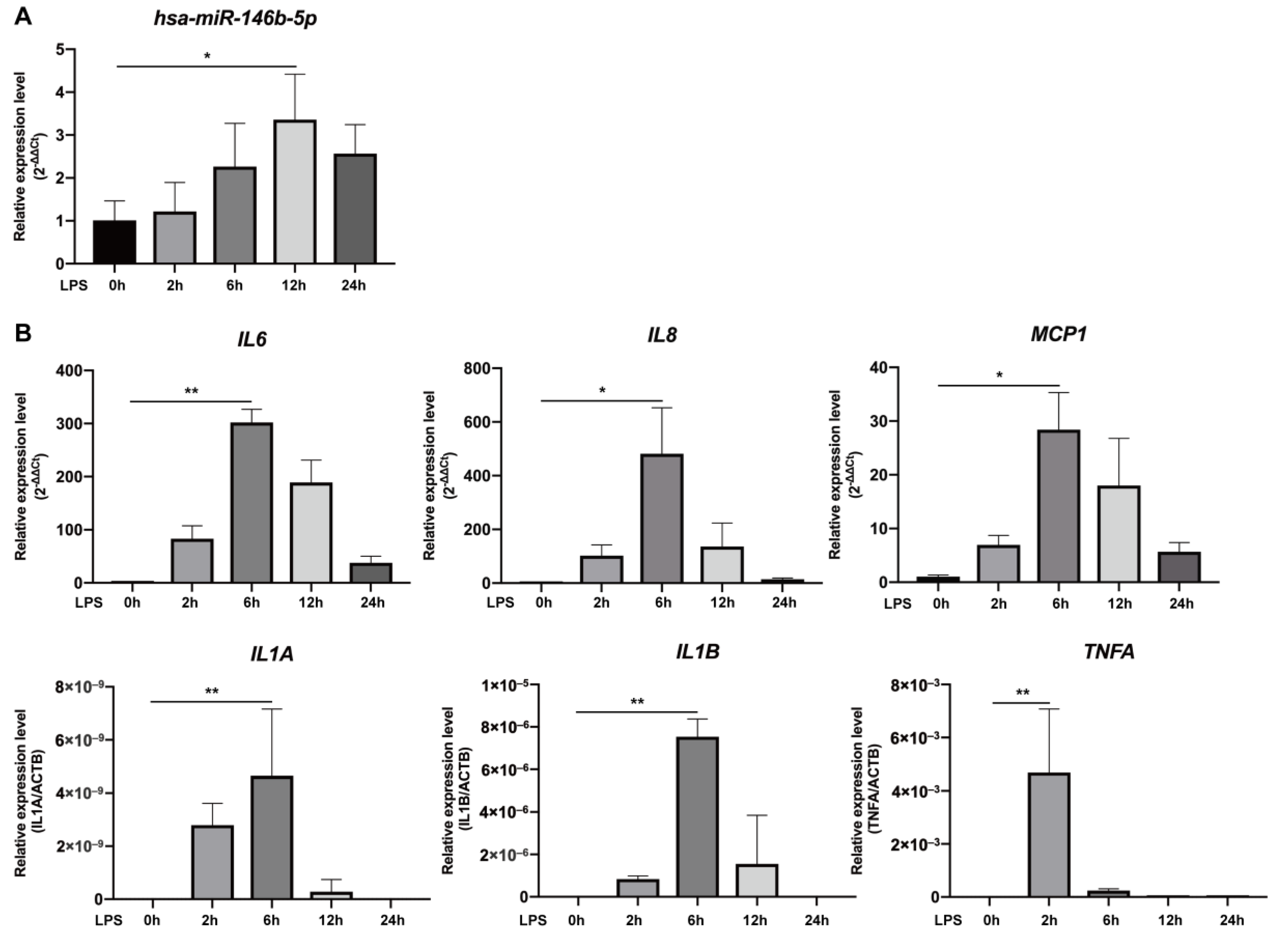 IJMS | Free Full-Text MicroRNA-146b-5p Suppresses Pro-Inflammatory Mediator Synthesis via TRAF6, IRAK1, and RELA in Lipopolysaccharide-Stimulated Human Dental Pulp Cells
