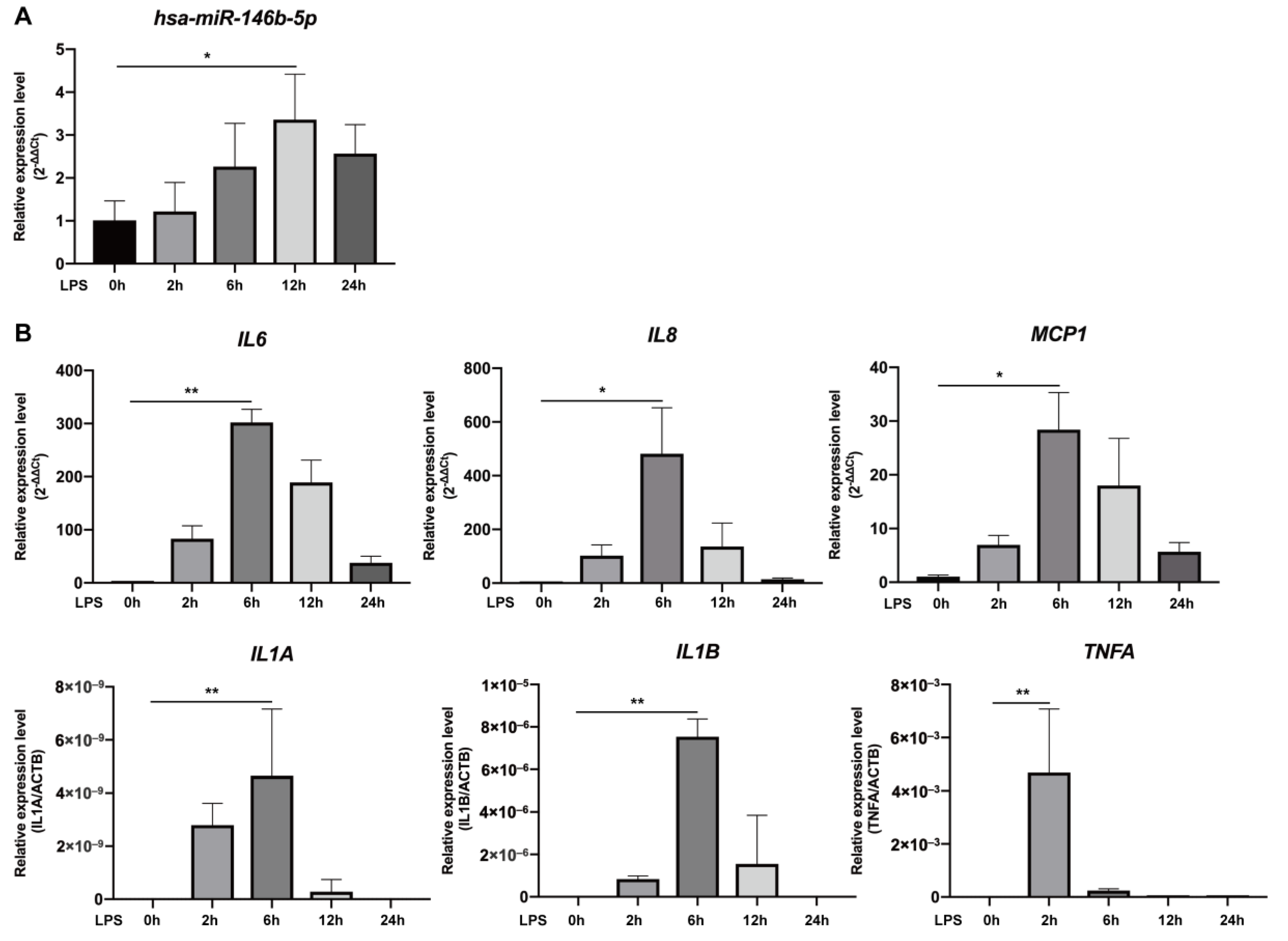 IJMS | Free Full-Text | MicroRNA-146b-5p Suppresses Pro 
