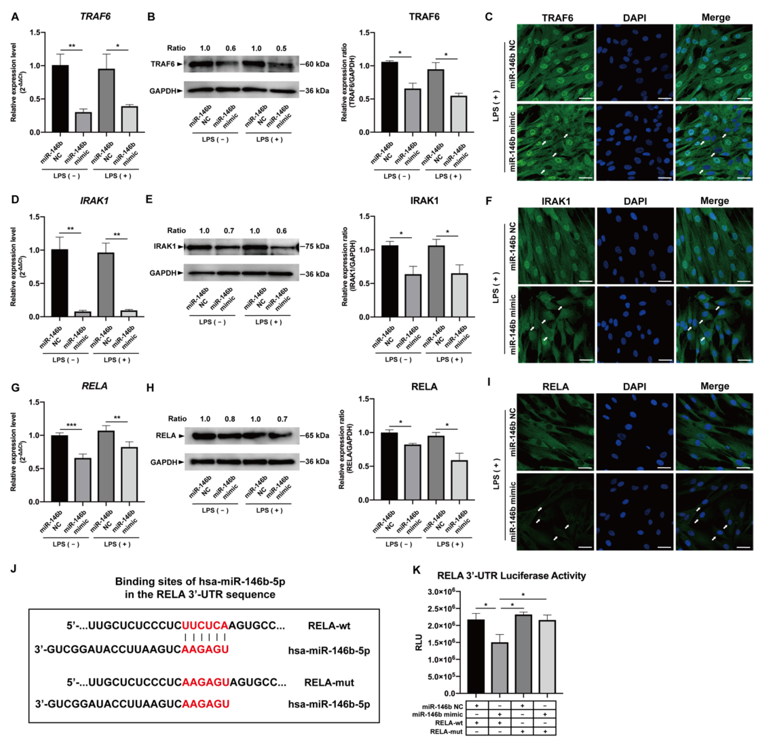 Ijms 24 07433 g004 Ijms 24 07433 g004