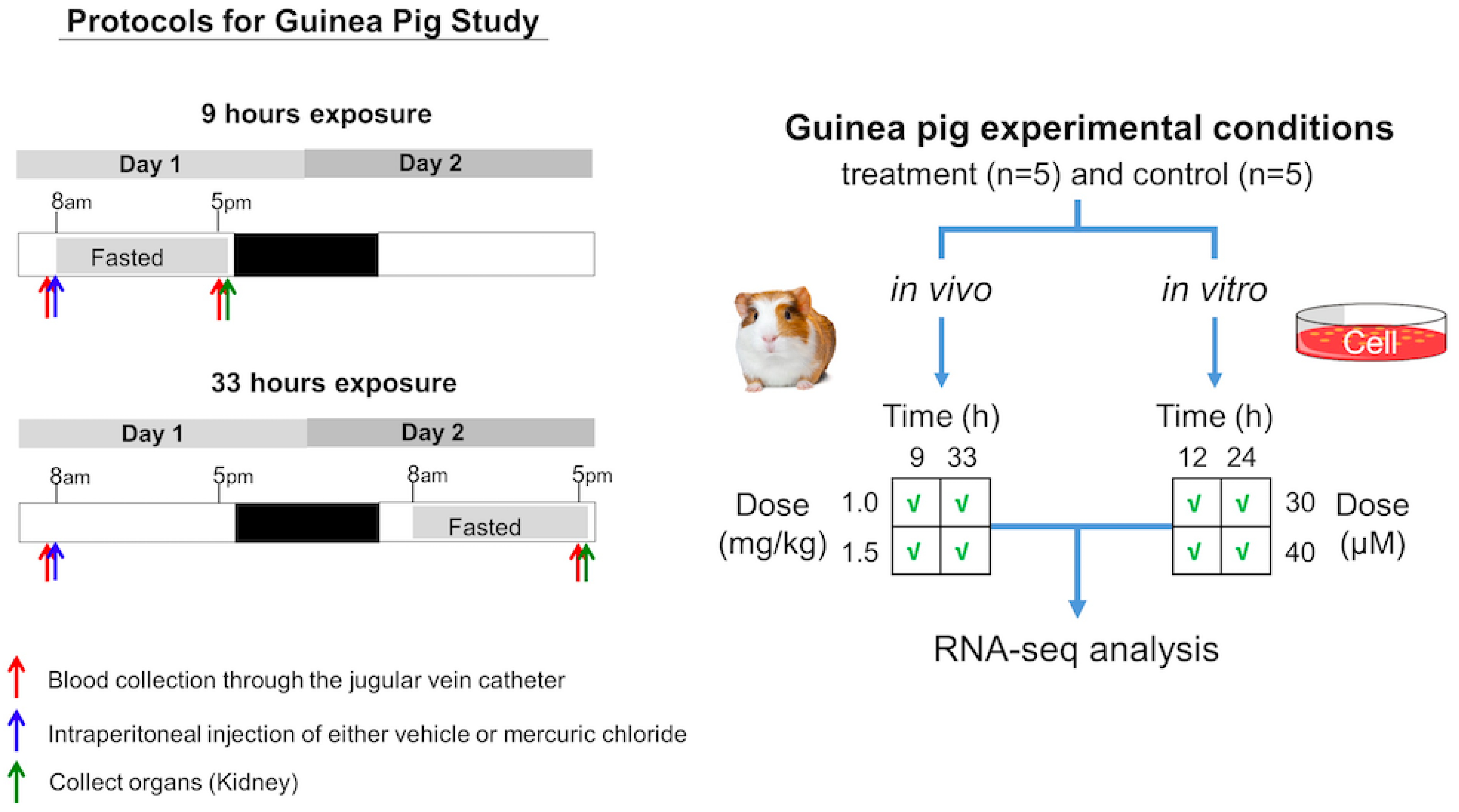 Ijms 24 07434 g007 Ijms 24 07434 g007