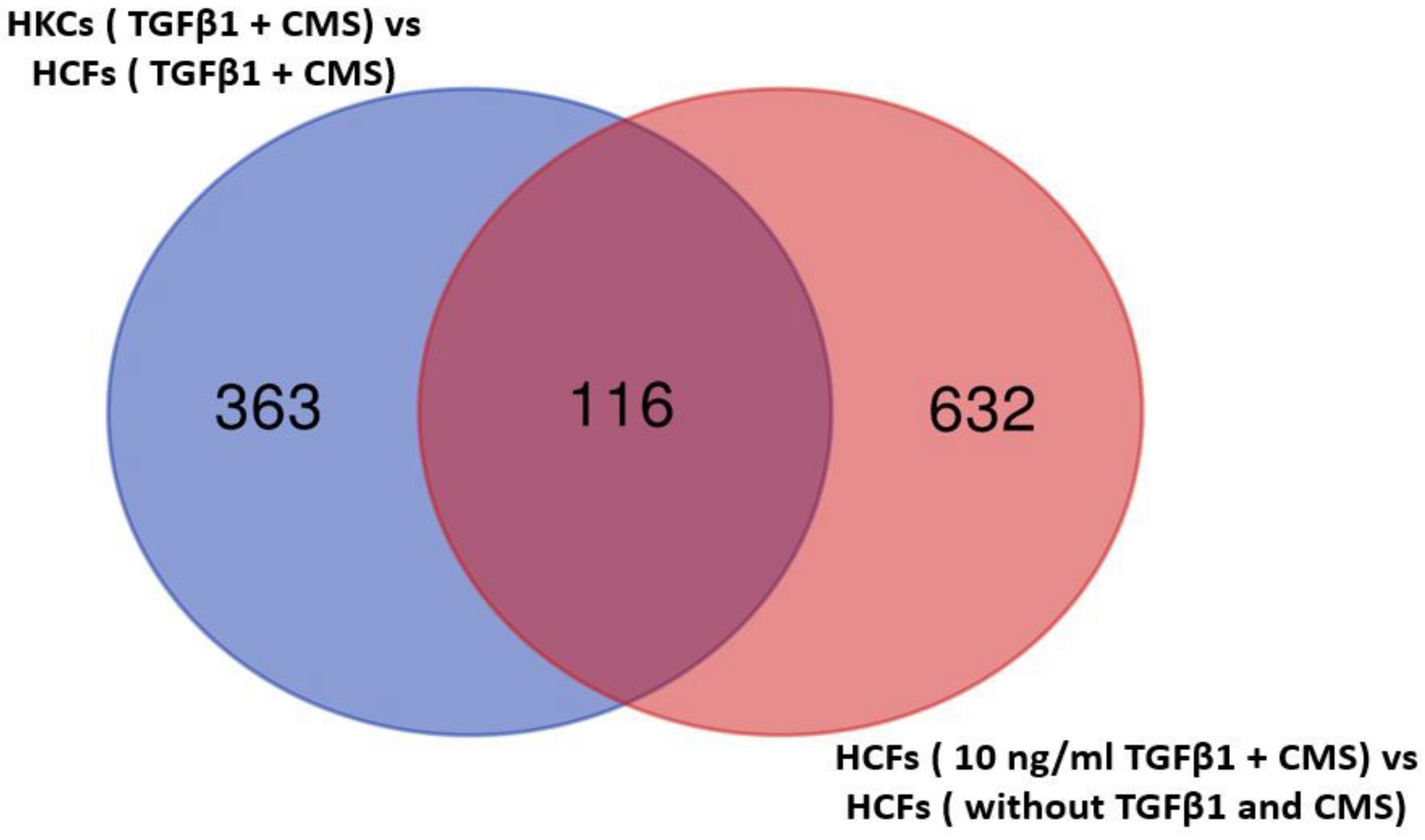 Ijms 24 07437 g002 Ijms 24 07437 g002