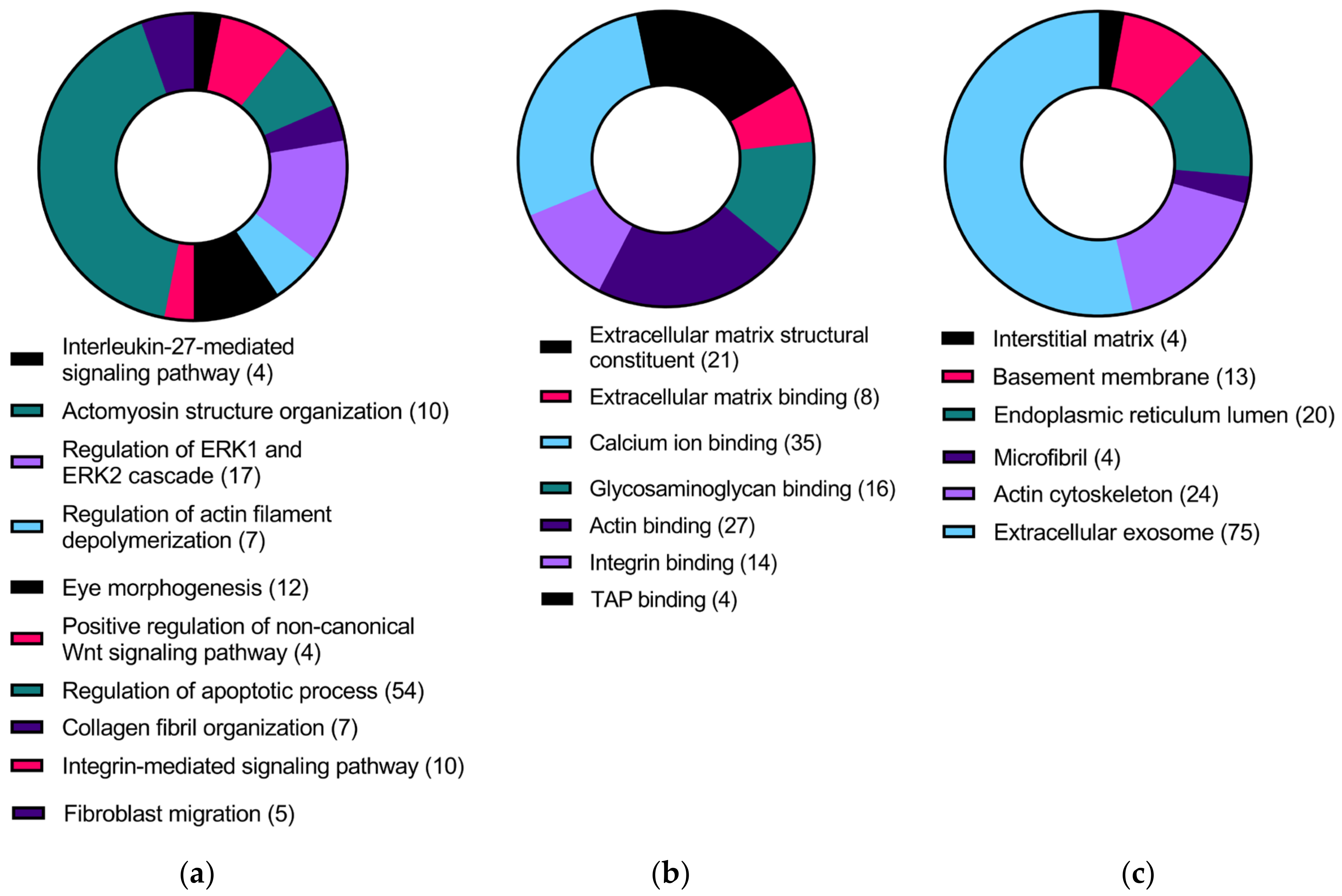 Ijms 24 07437 g003 Ijms 24 07437 g003