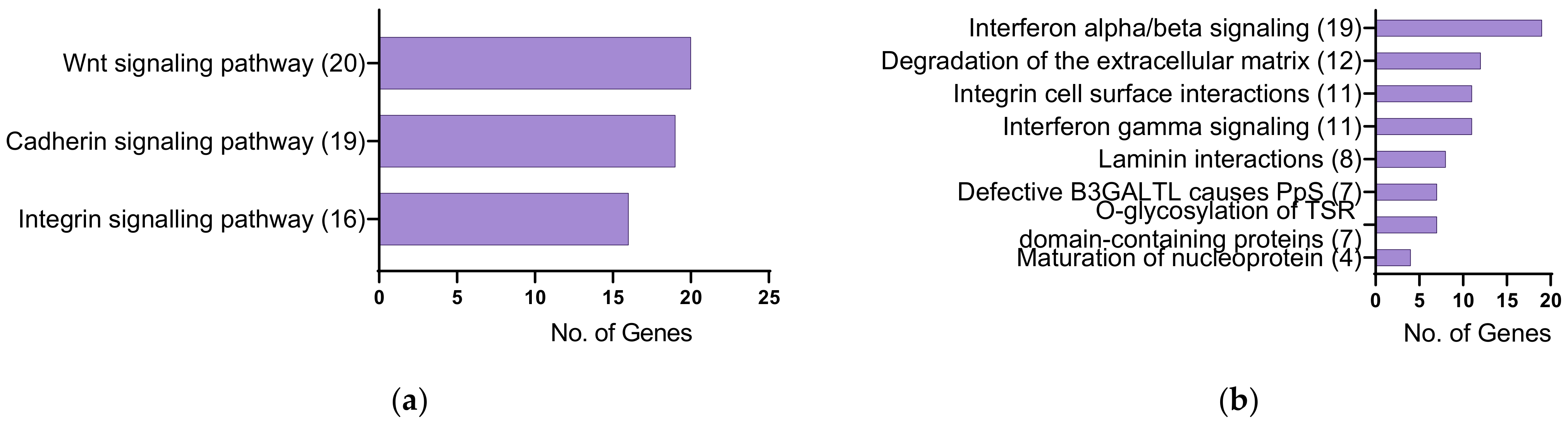 Ijms 24 07437 g004 Ijms 24 07437 g004
