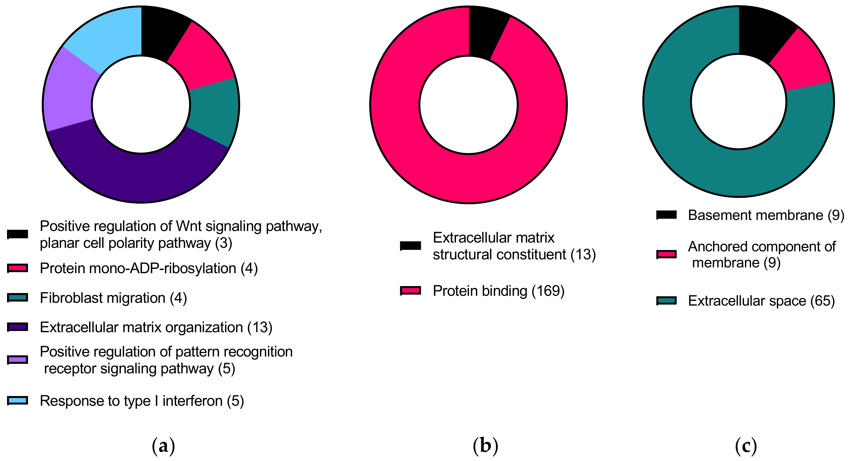 Ijms 24 07437 g005 Ijms 24 07437 g005