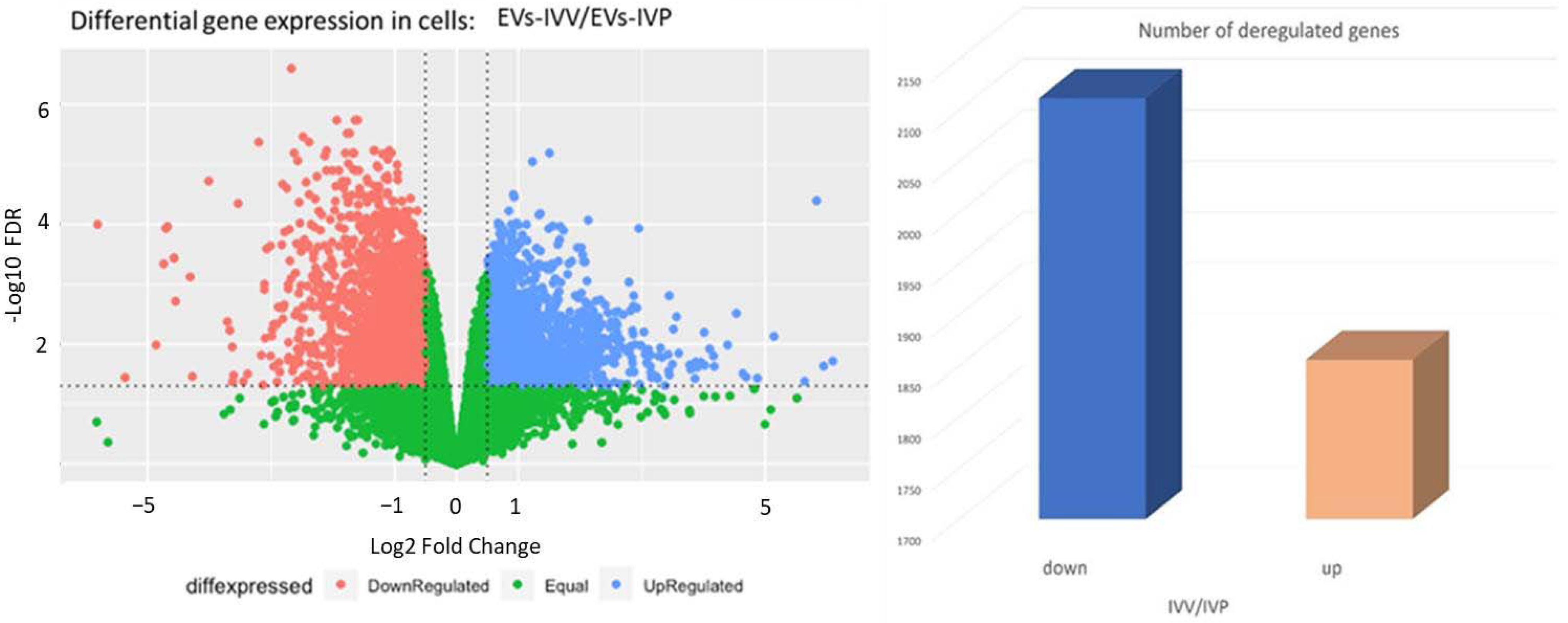 Ijms 24 07438 g006 Ijms 24 07438 g006