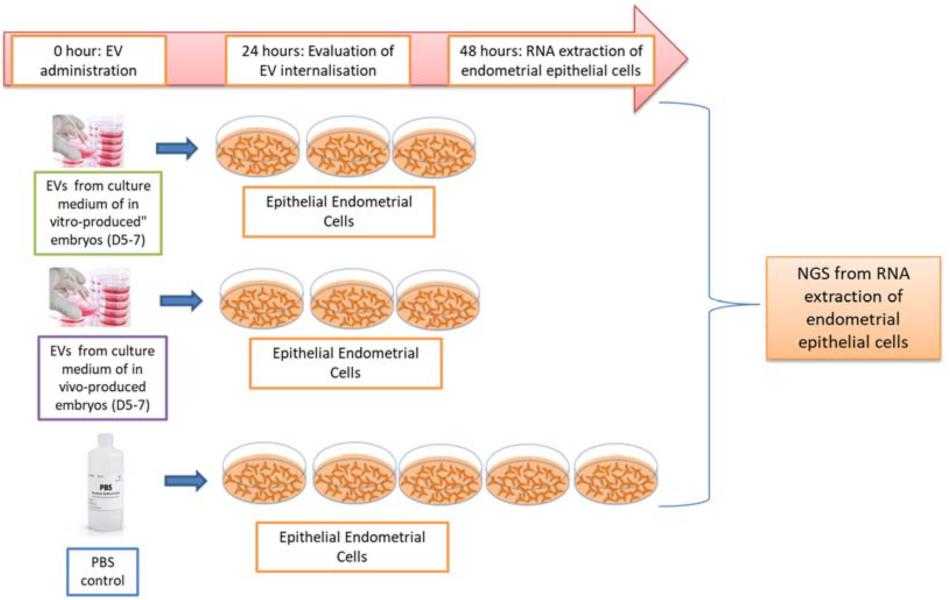 Ijms 24 07438 g008 Ijms 24 07438 g008