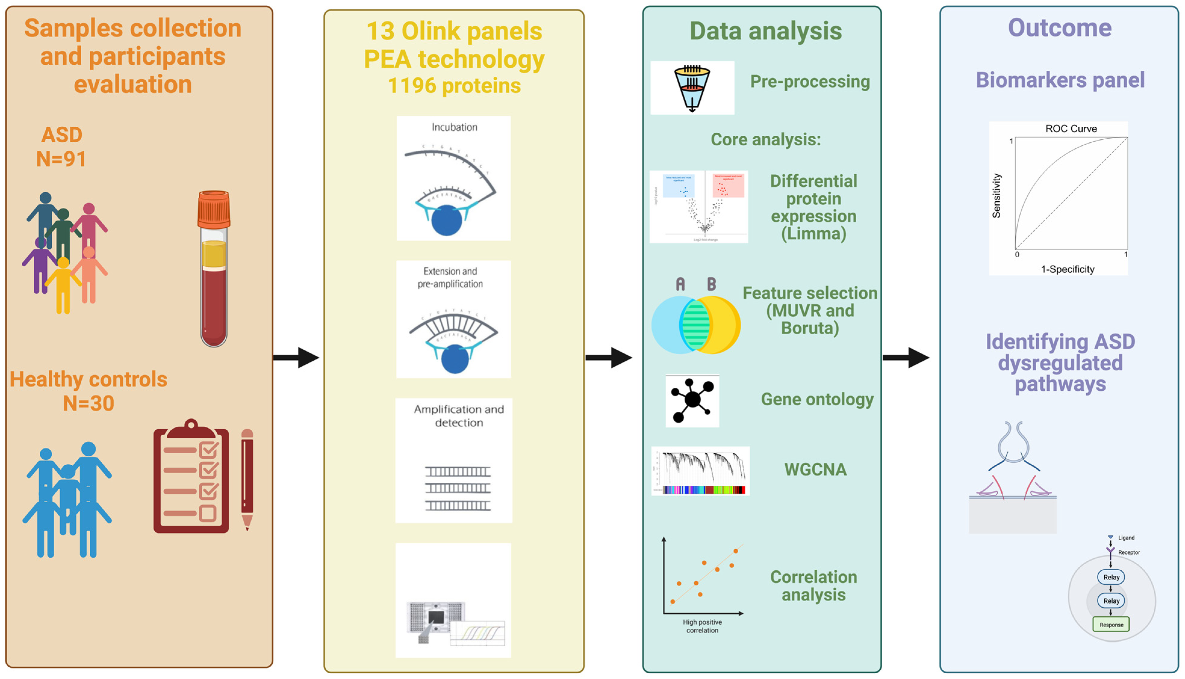 Ijms 24 07443 g001 Ijms 24 07443 g001