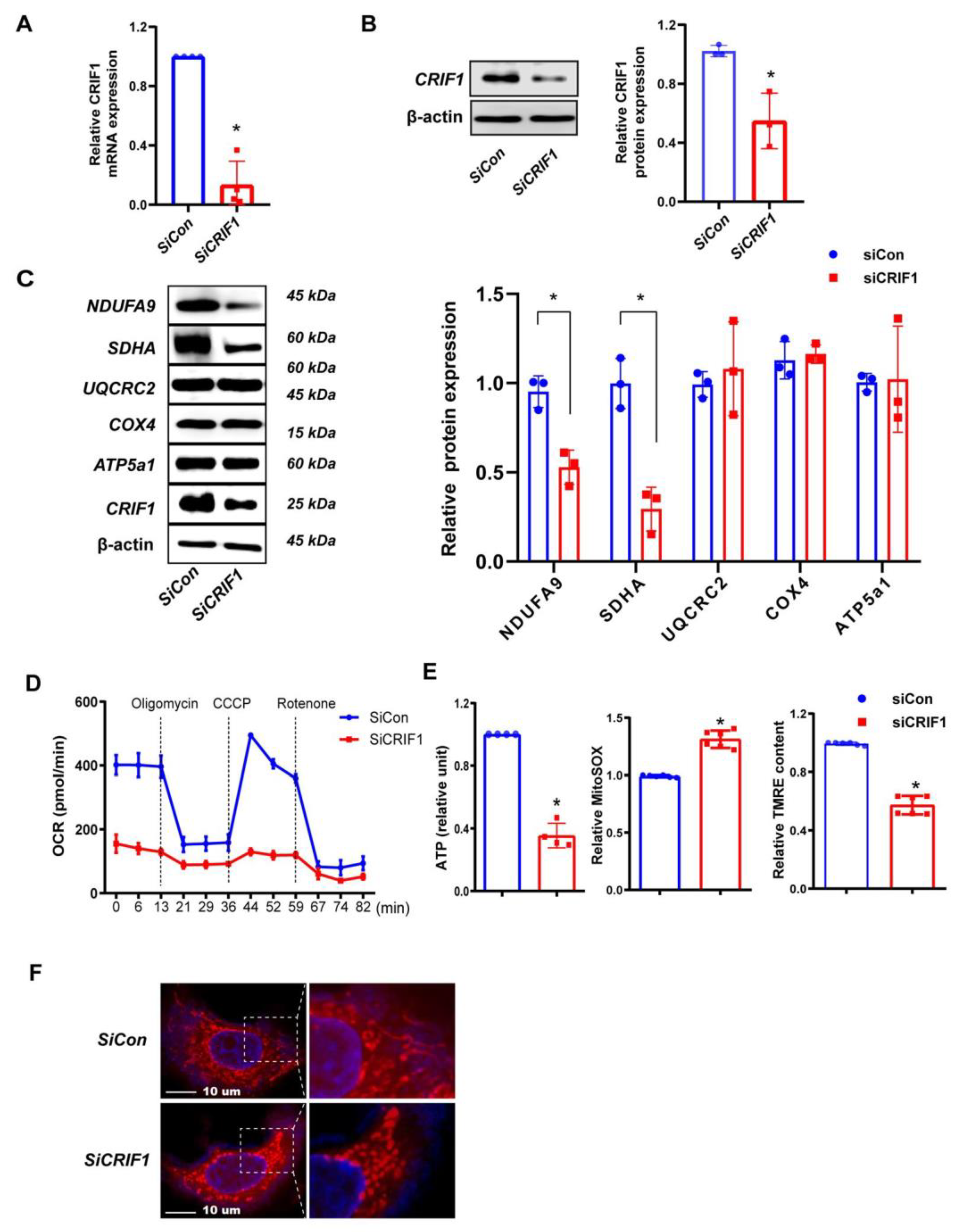 Ijms 24 07453 g001 Ijms 24 07453 g001
