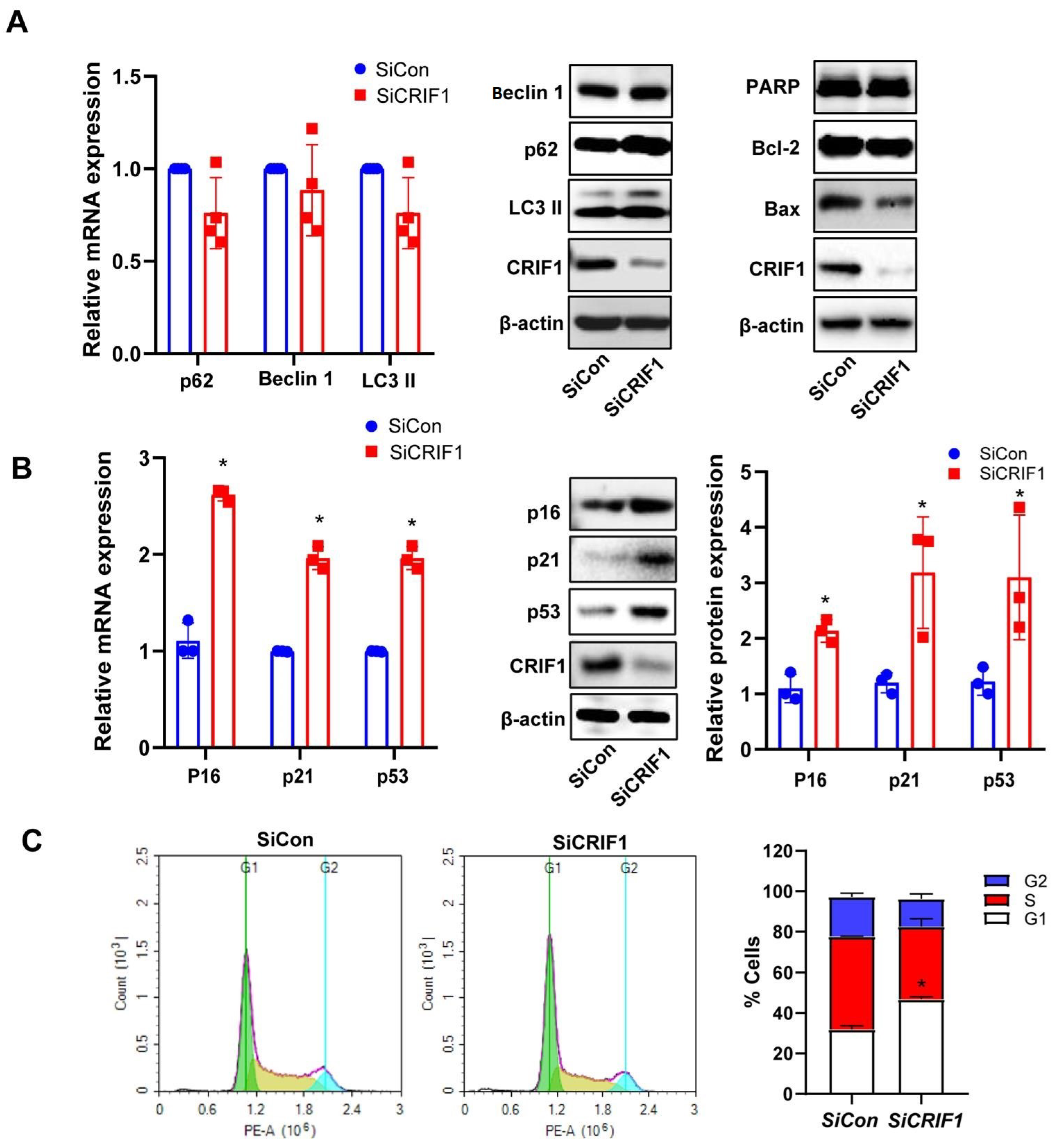 Ijms 24 07453 g003 Ijms 24 07453 g003