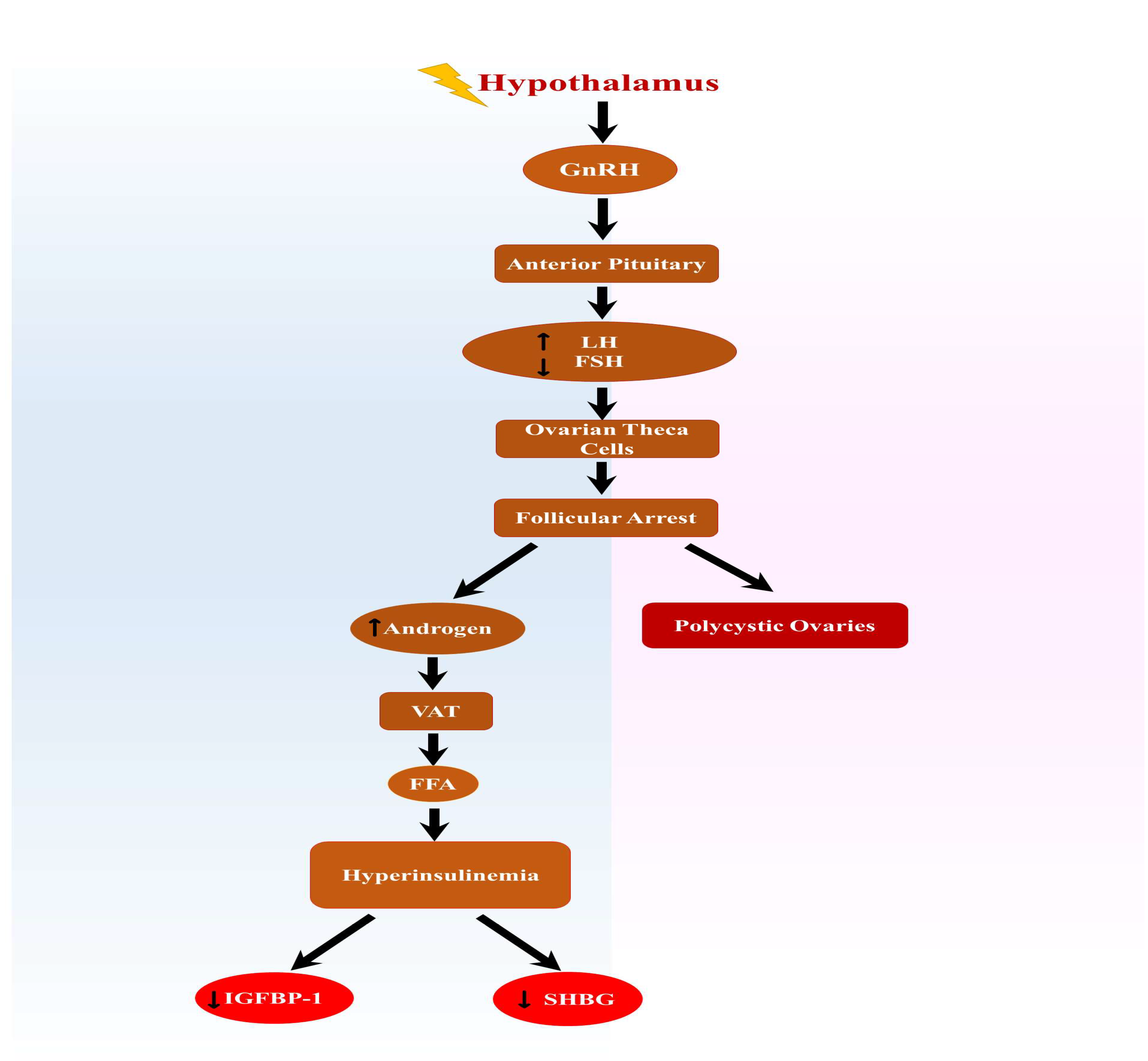 Ijms 24 07454 g001 Ijms 24 07454 g001