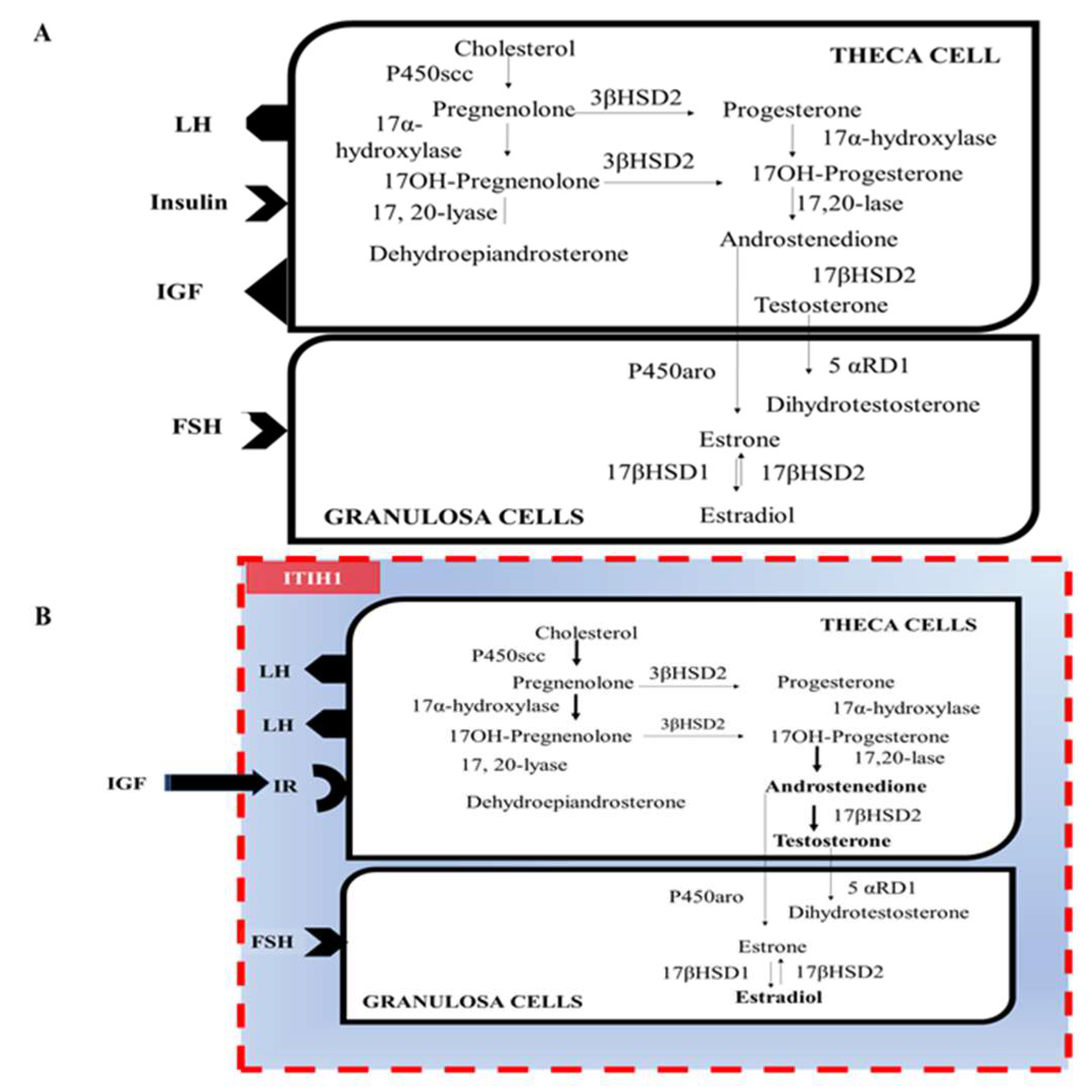 Ijms 24 07454 g002 Ijms 24 07454 g002