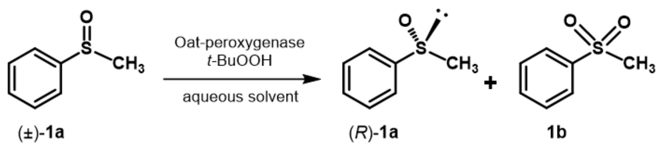 Ijms 24 07464 sch002