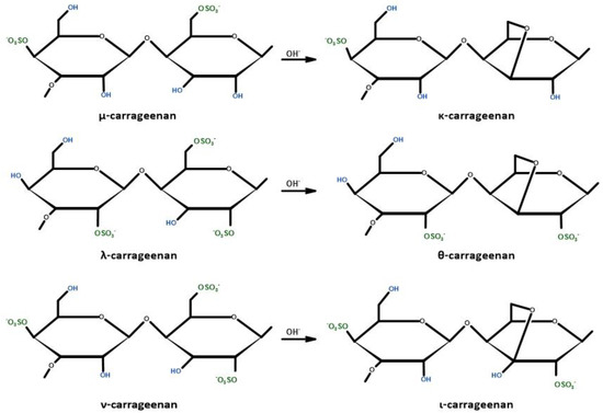 Biodegradable Polymers and Polymer Composites with