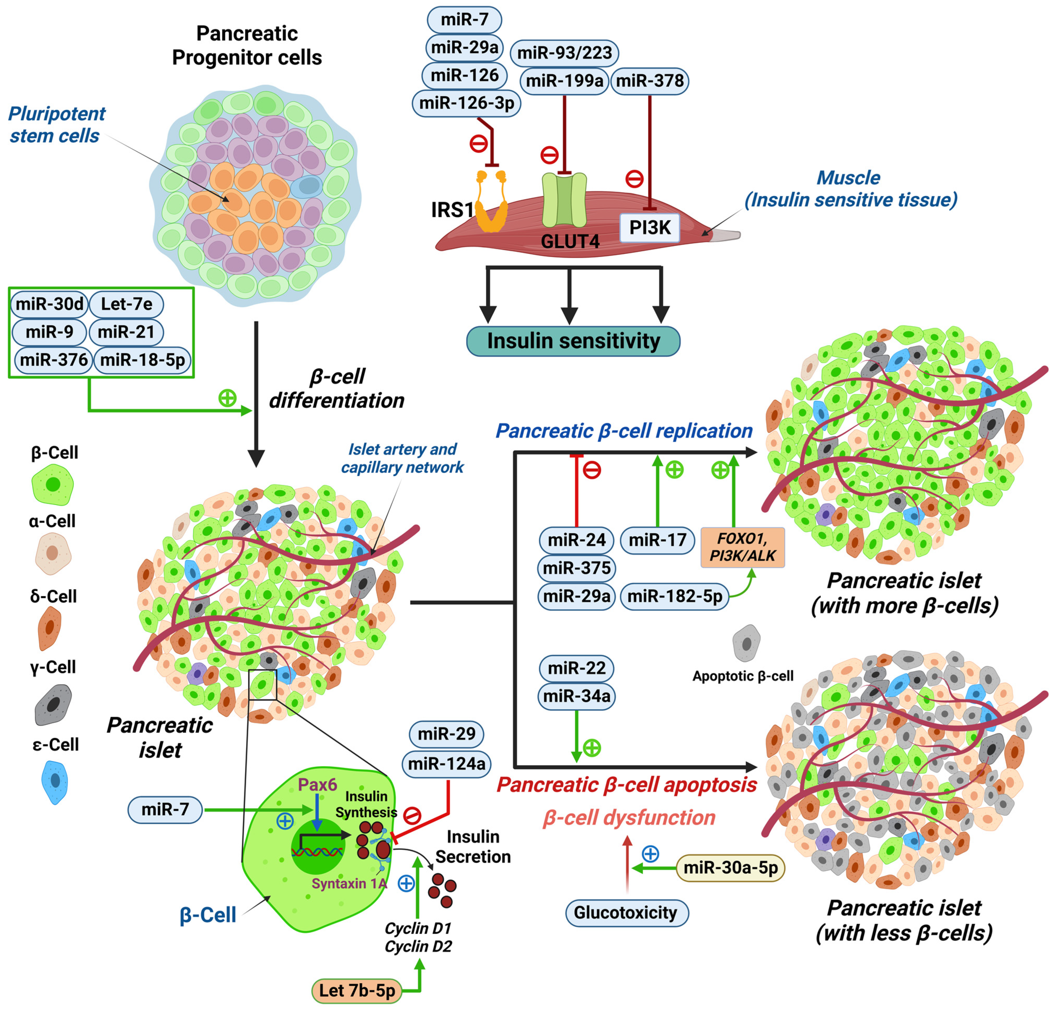 Ijms 24 07488 g001 Ijms 24 07488 g001