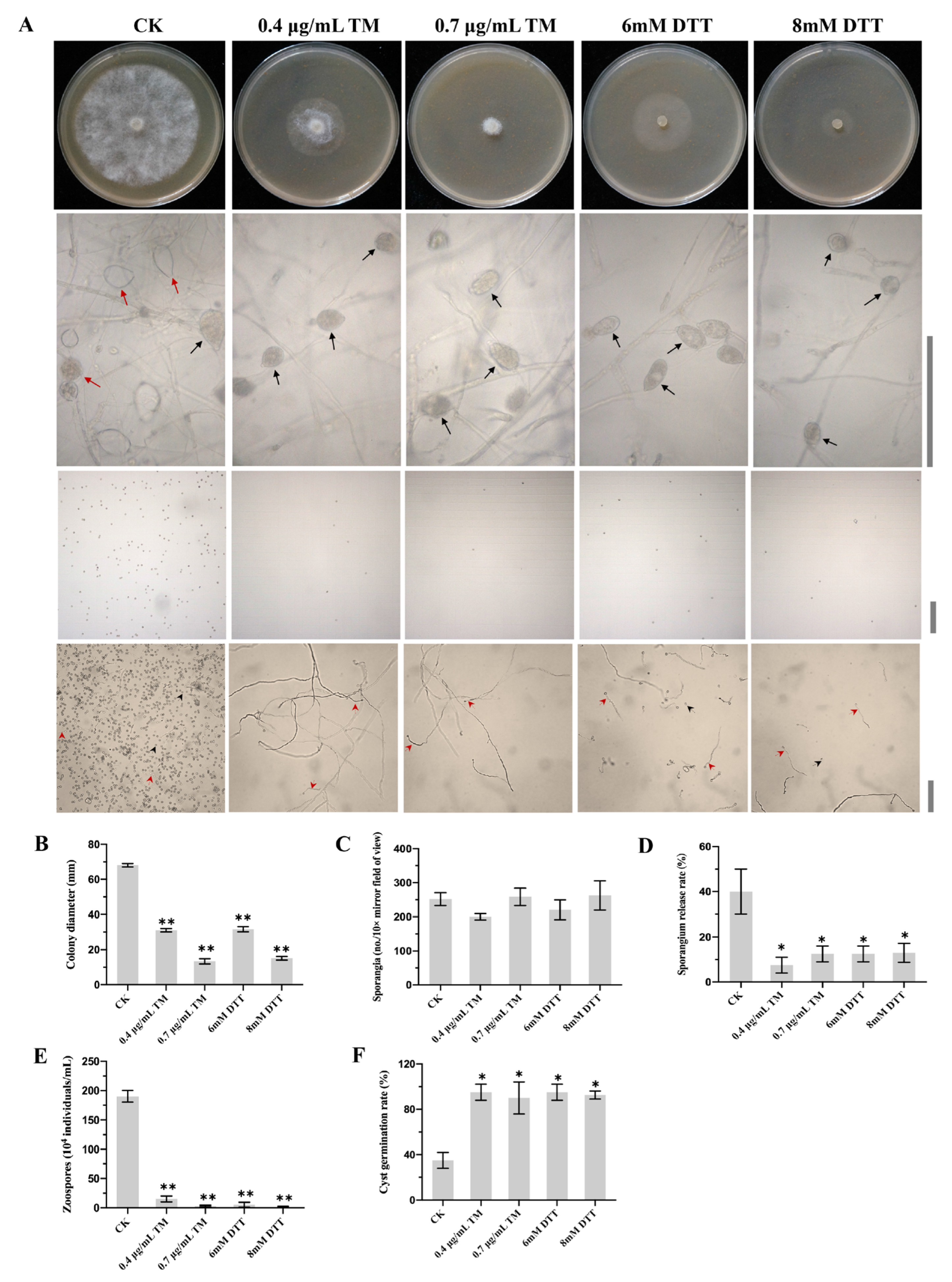 Ijms 24 07500 g001 Ijms 24 07500 g001