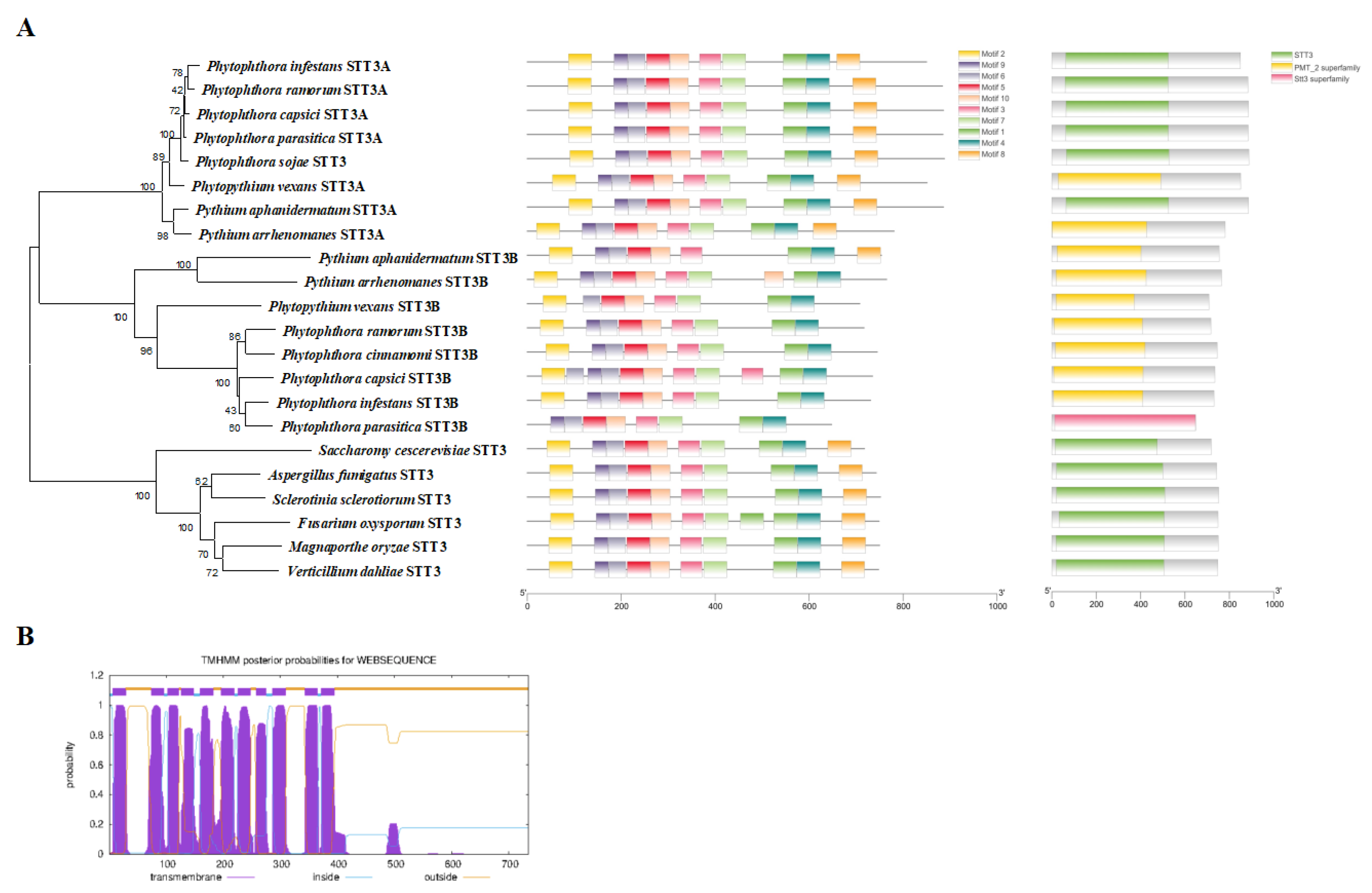 Ijms 24 07500 g002 Ijms 24 07500 g002