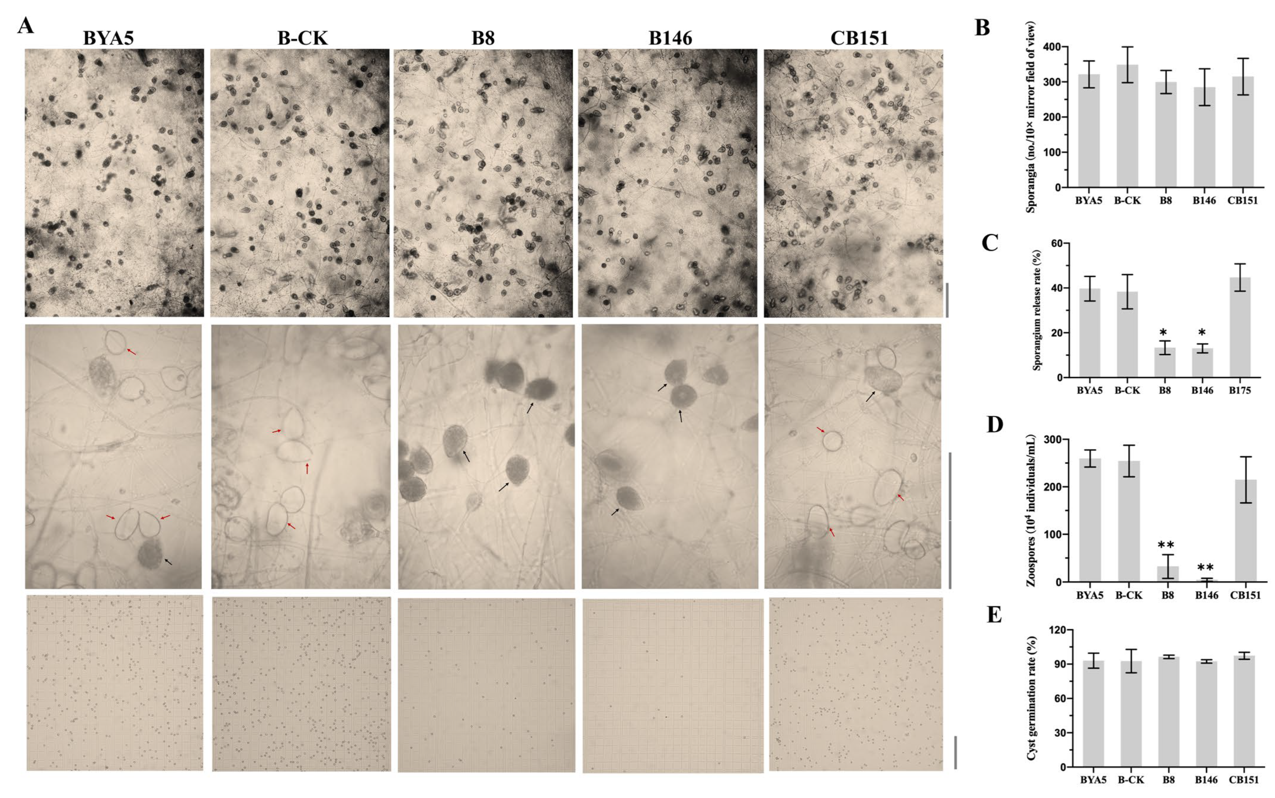 Ijms 24 07500 g005 Ijms 24 07500 g005
