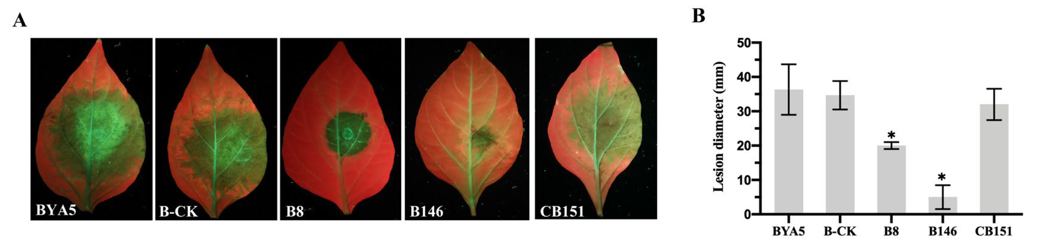 Ijms 24 07500 g006 Ijms 24 07500 g006