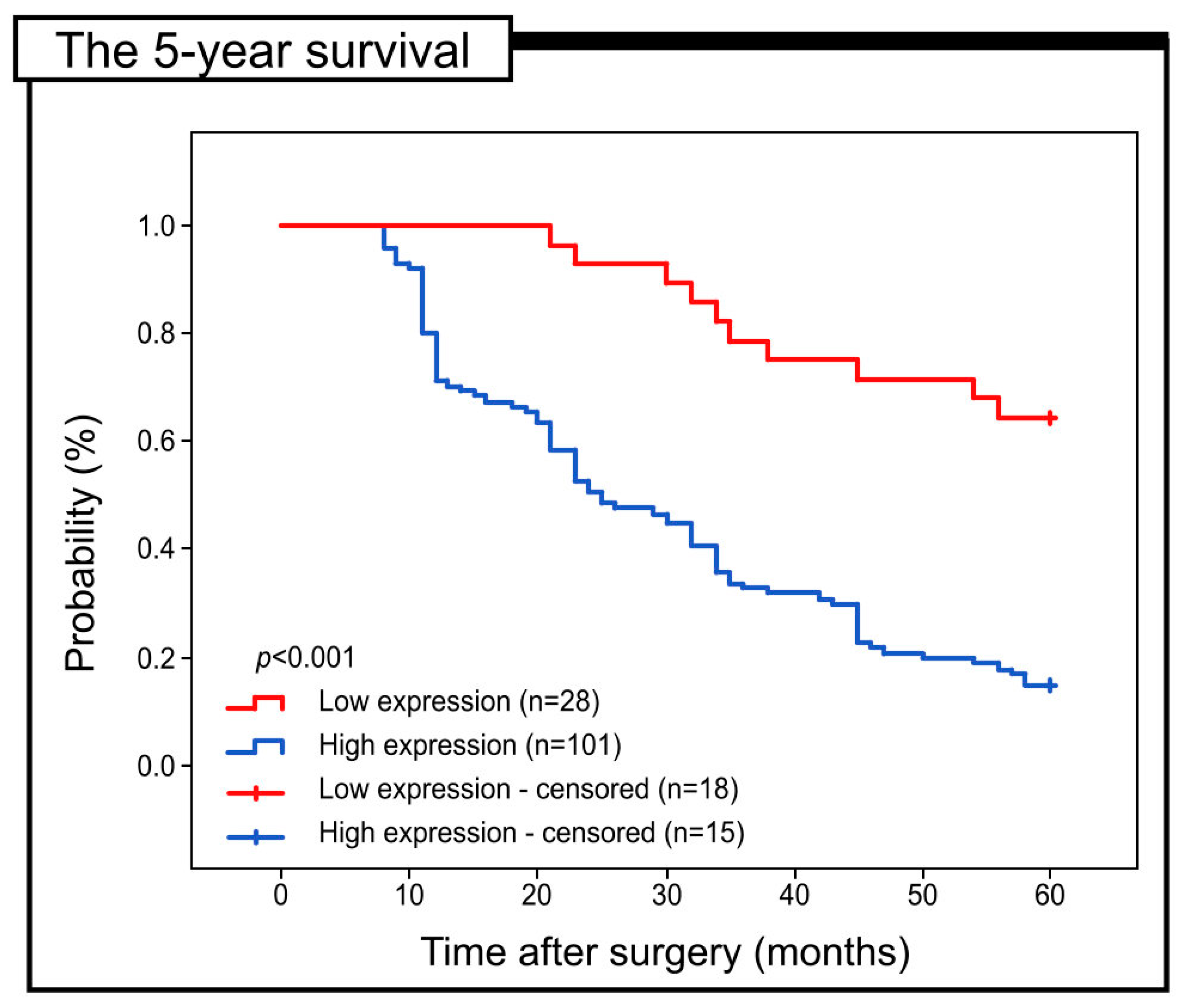 Ijms 24 07502 g003 Ijms 24 07502 g003