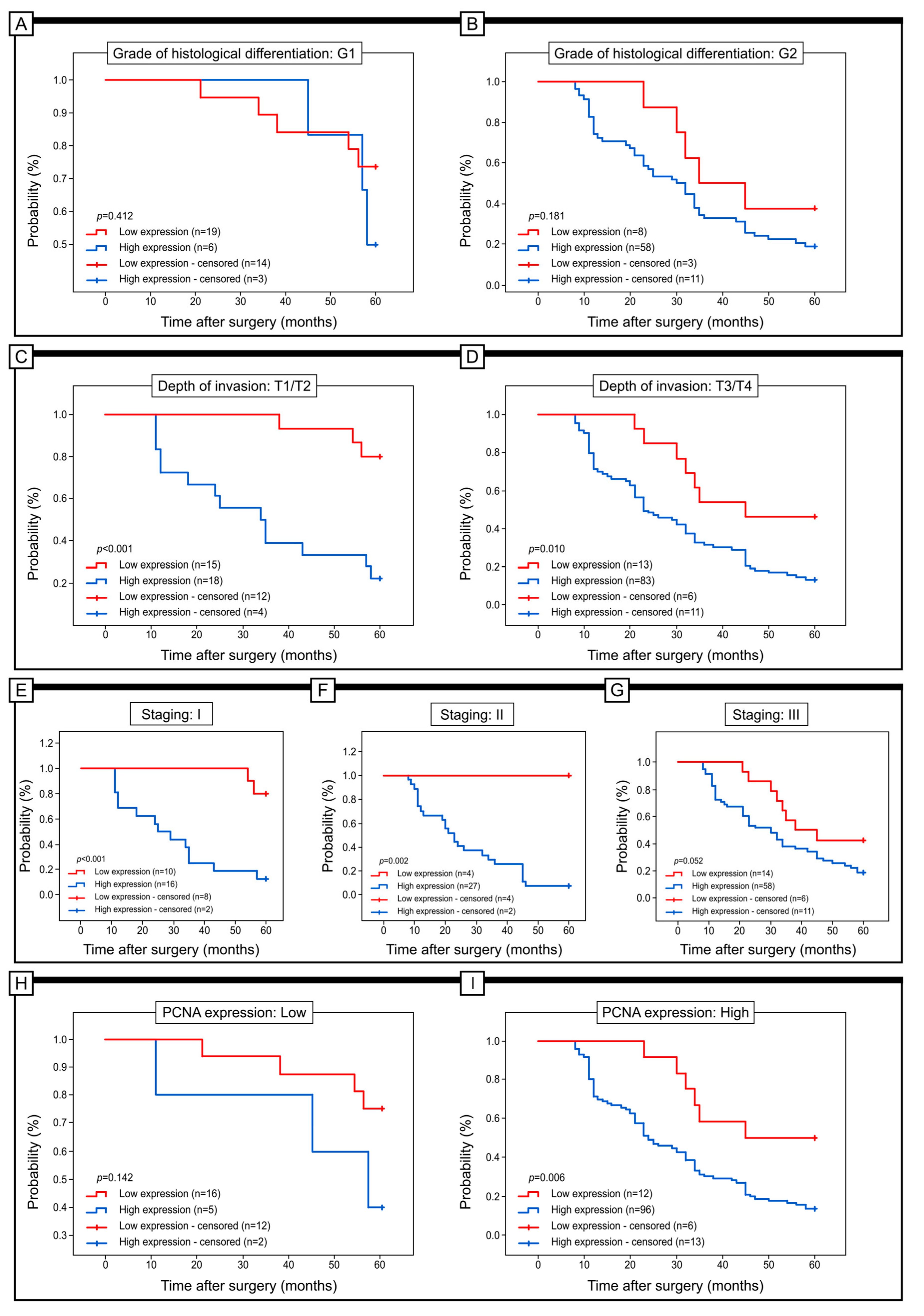 Ijms 24 07502 g004 Ijms 24 07502 g004