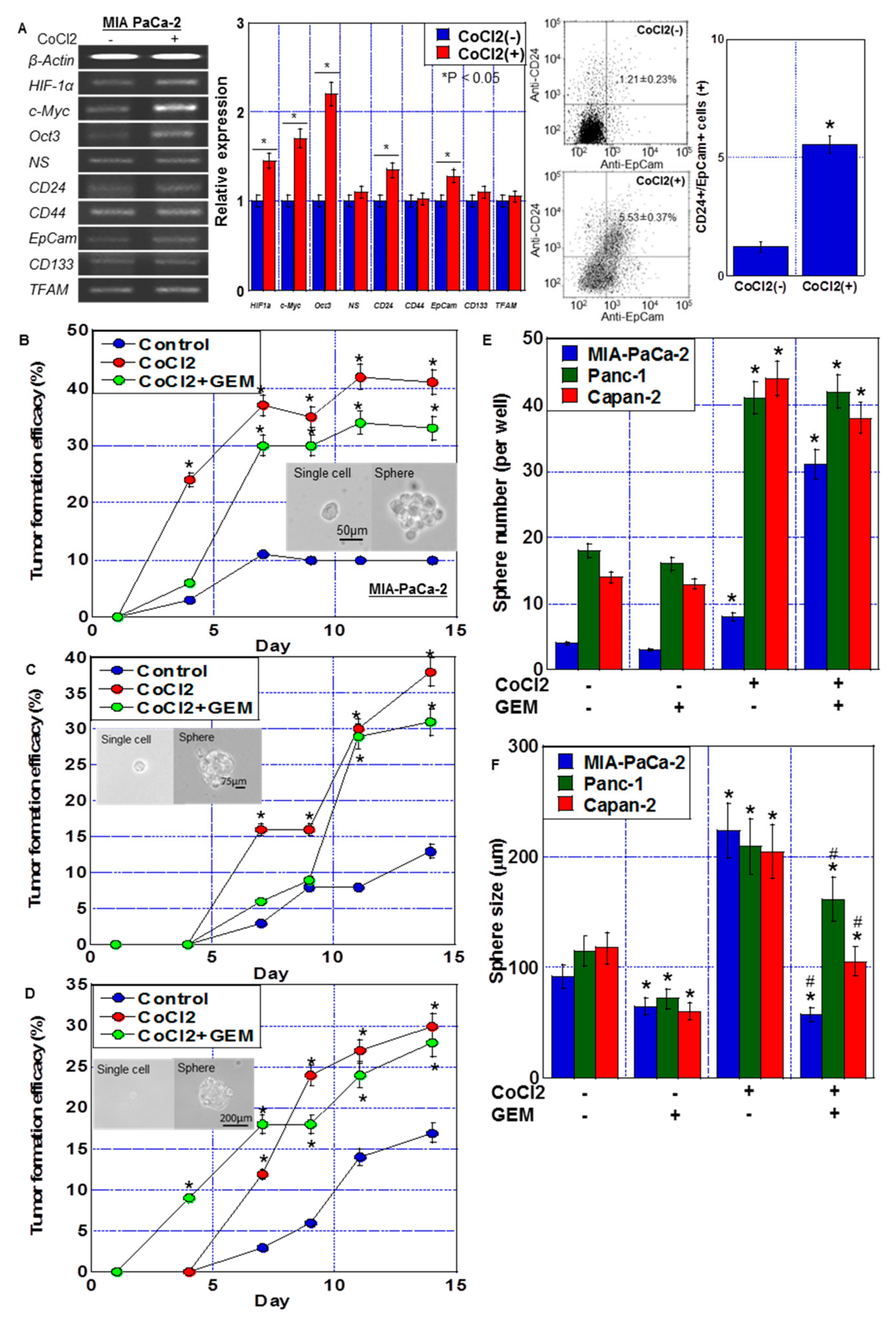Ijms 24 07506 g002 Ijms 24 07506 g002