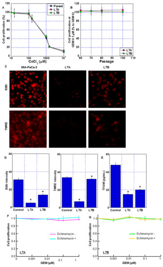 Lauric Acid Overcomes Hypoxia-Induced Gemcitabine