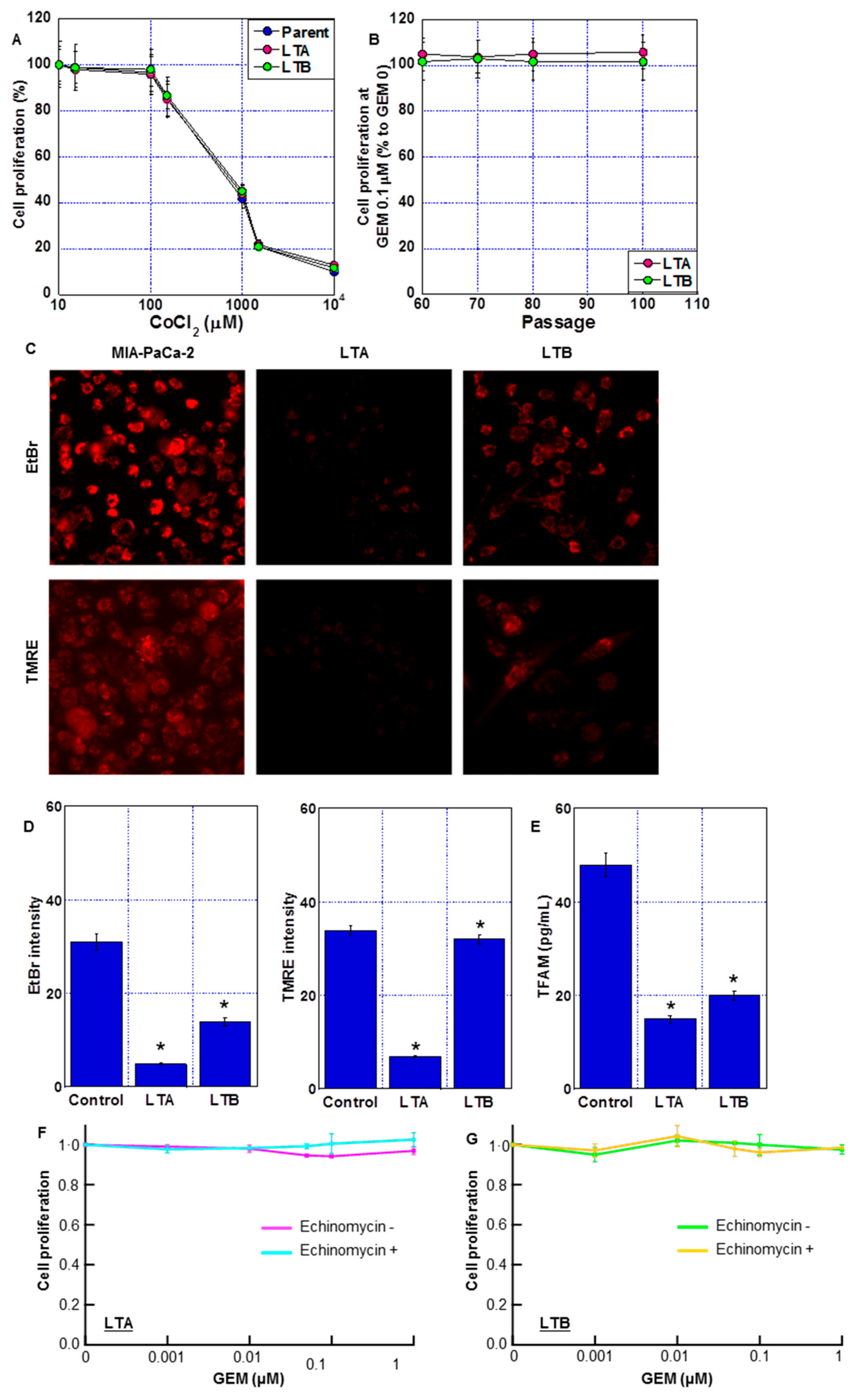 Ijms 24 07506 g005 Ijms 24 07506 g005