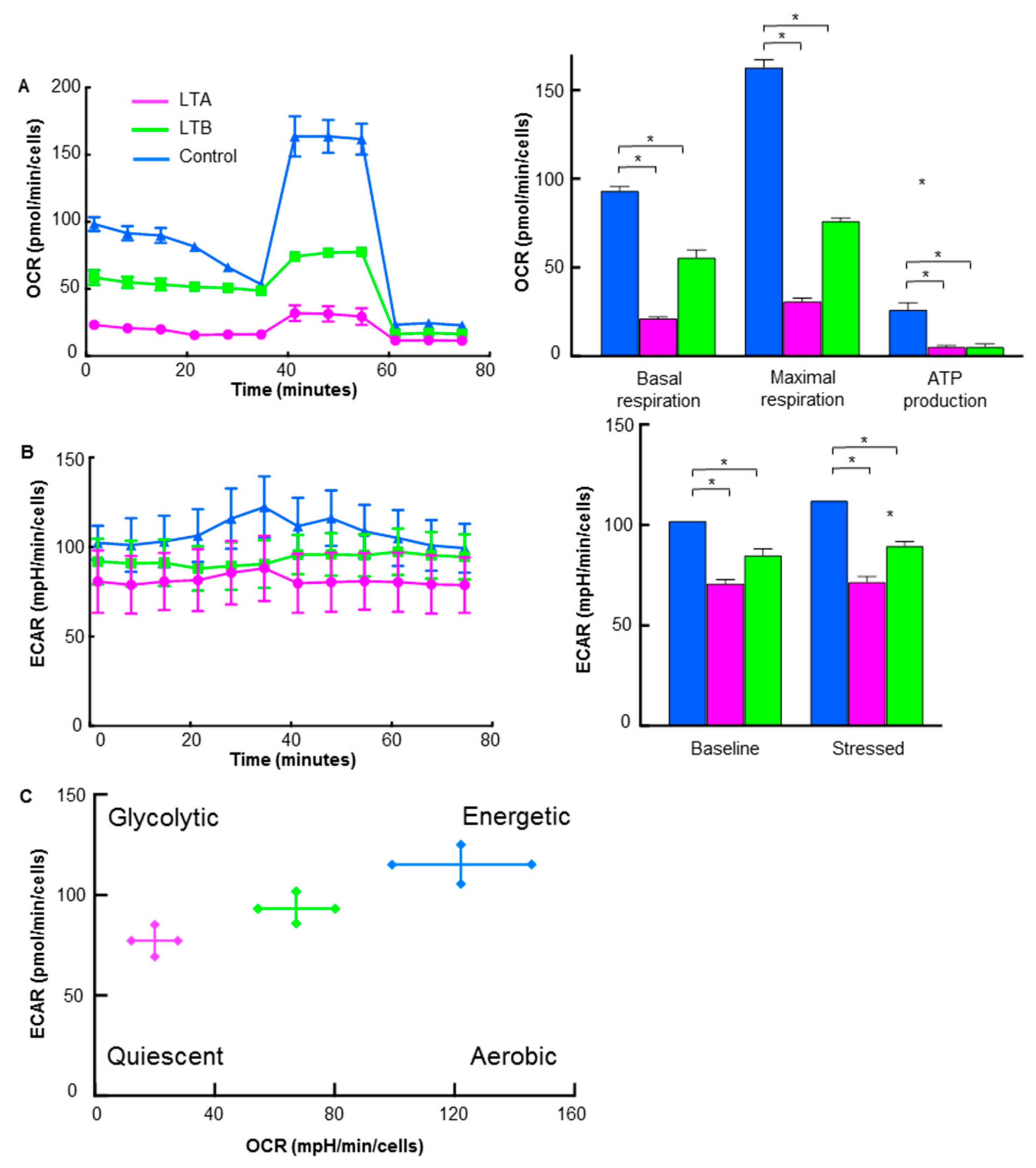 Ijms 24 07506 g006 Ijms 24 07506 g006