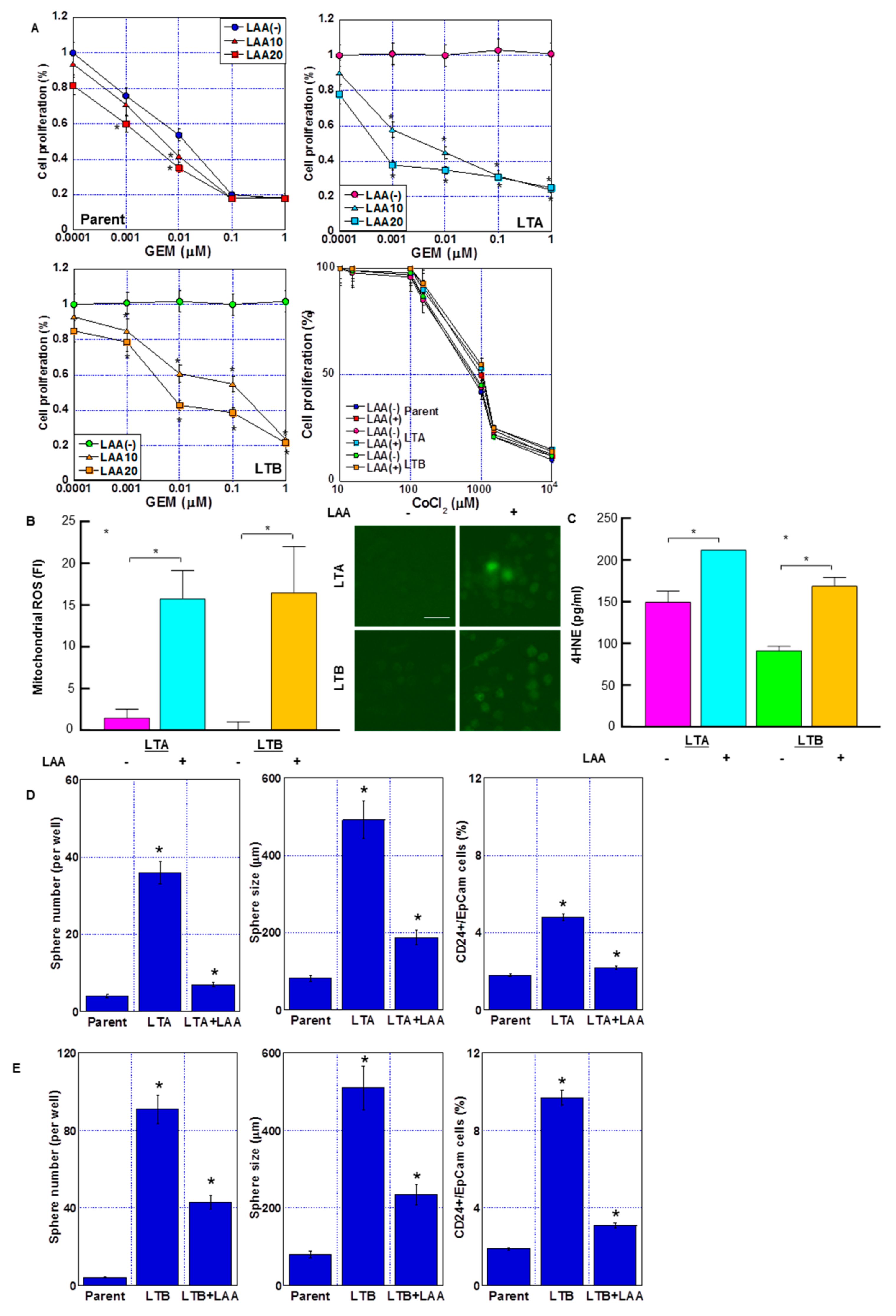 Ijms 24 07506 g007 Ijms 24 07506 g007