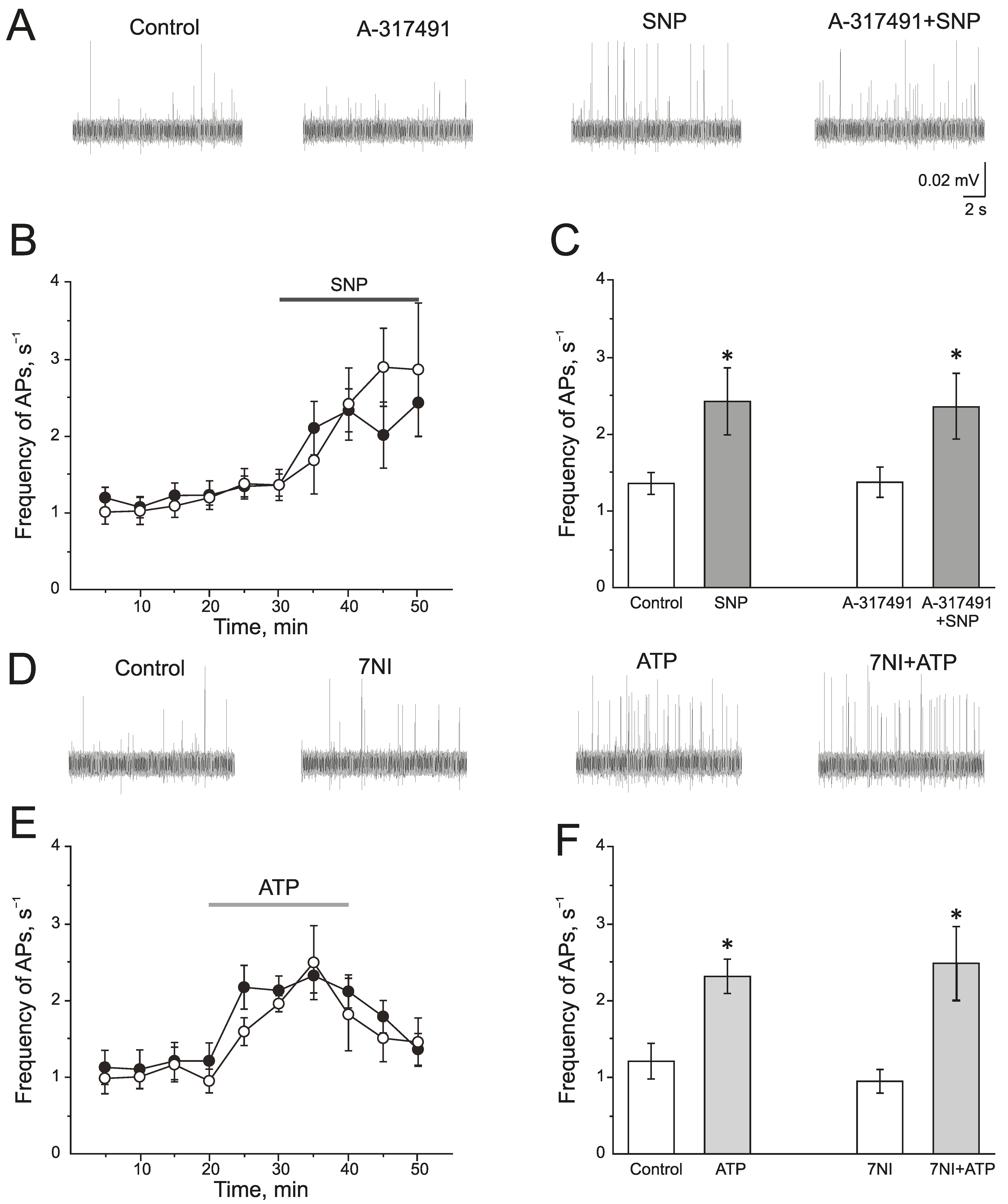 Ijms 24 07519 g004 Ijms 24 07519 g004