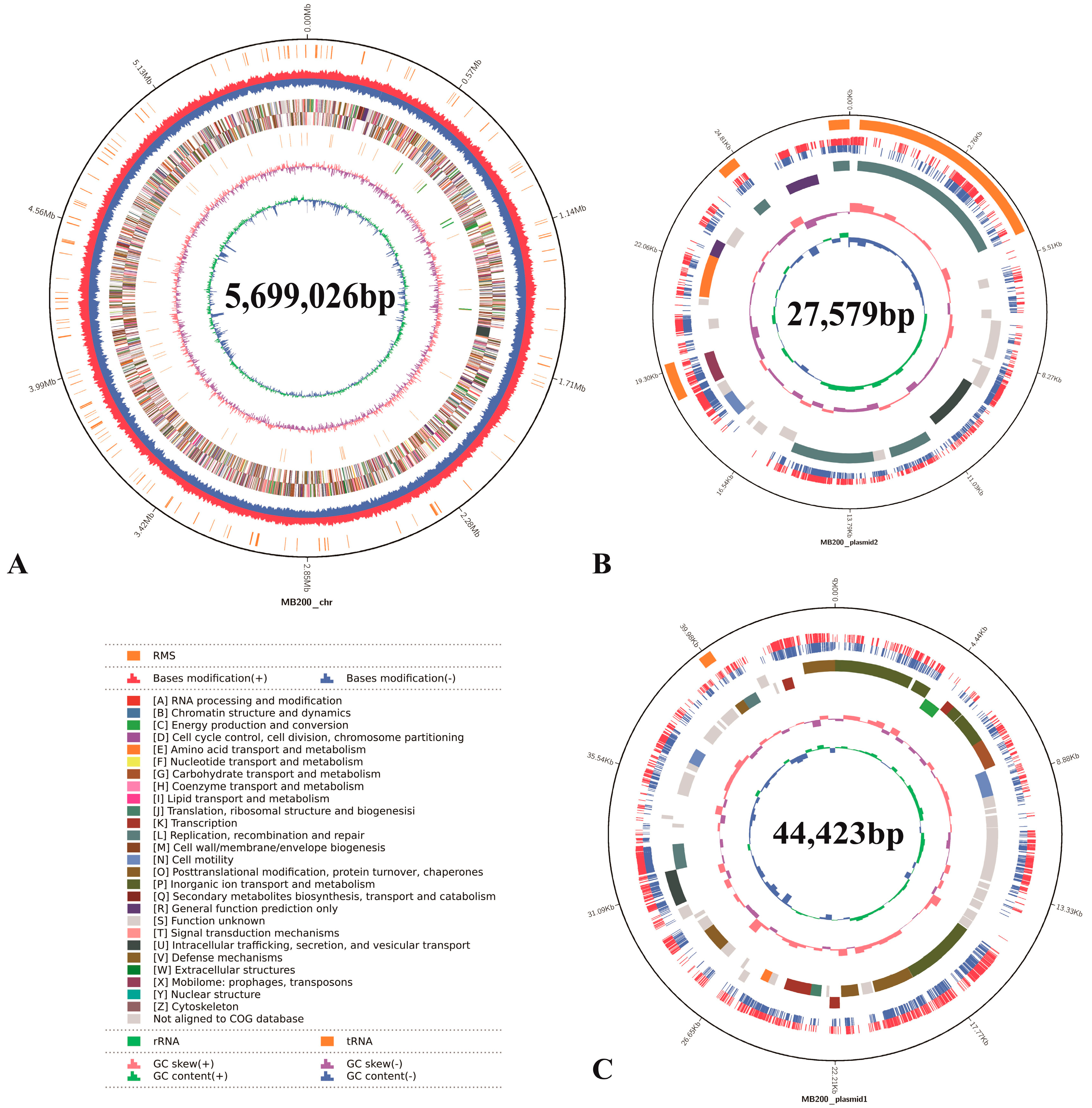 Ijms 24 07521 g002 Ijms 24 07521 g002