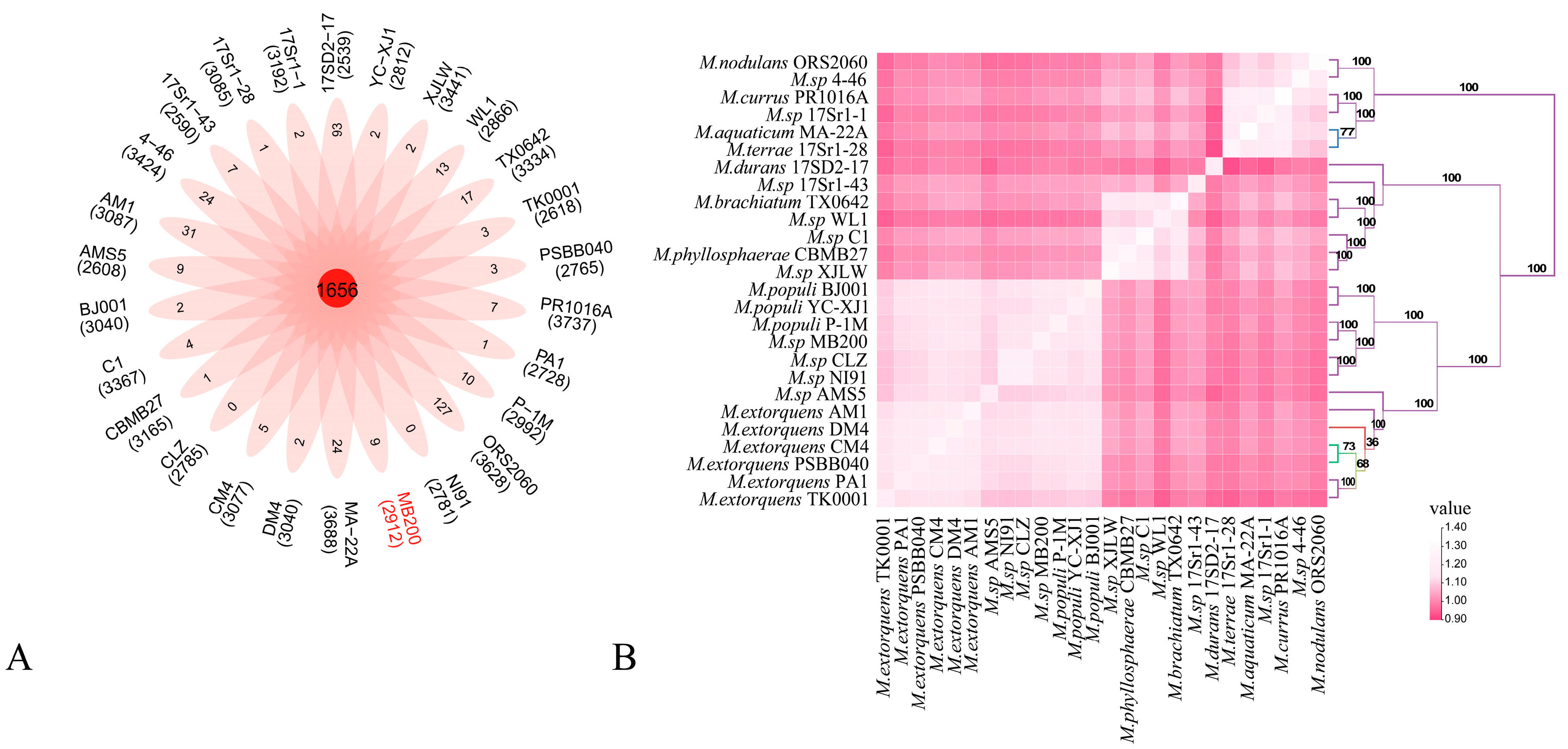 Ijms 24 07521 g003 Ijms 24 07521 g003