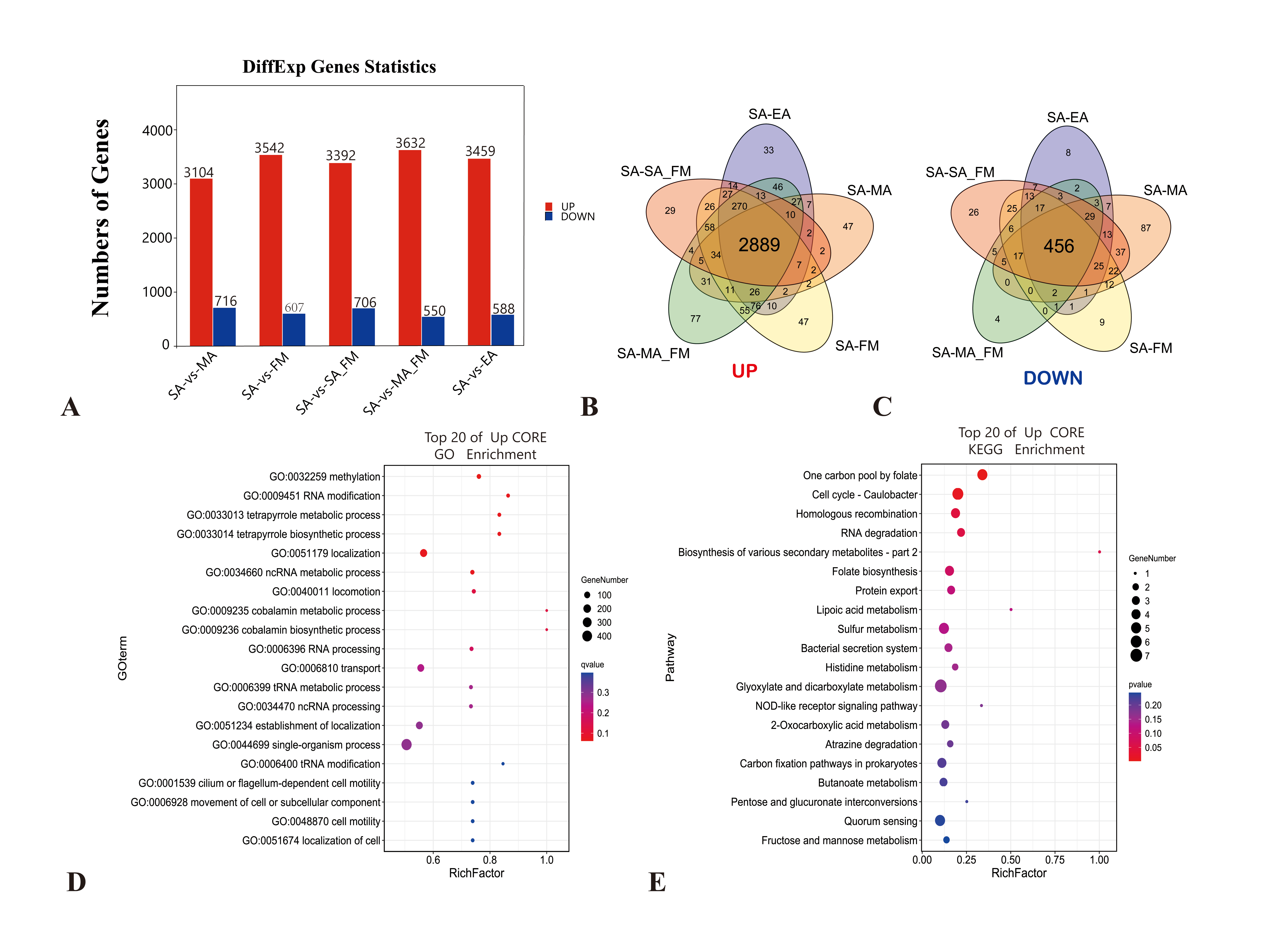 Ijms 24 07521 g004 Ijms 24 07521 g004