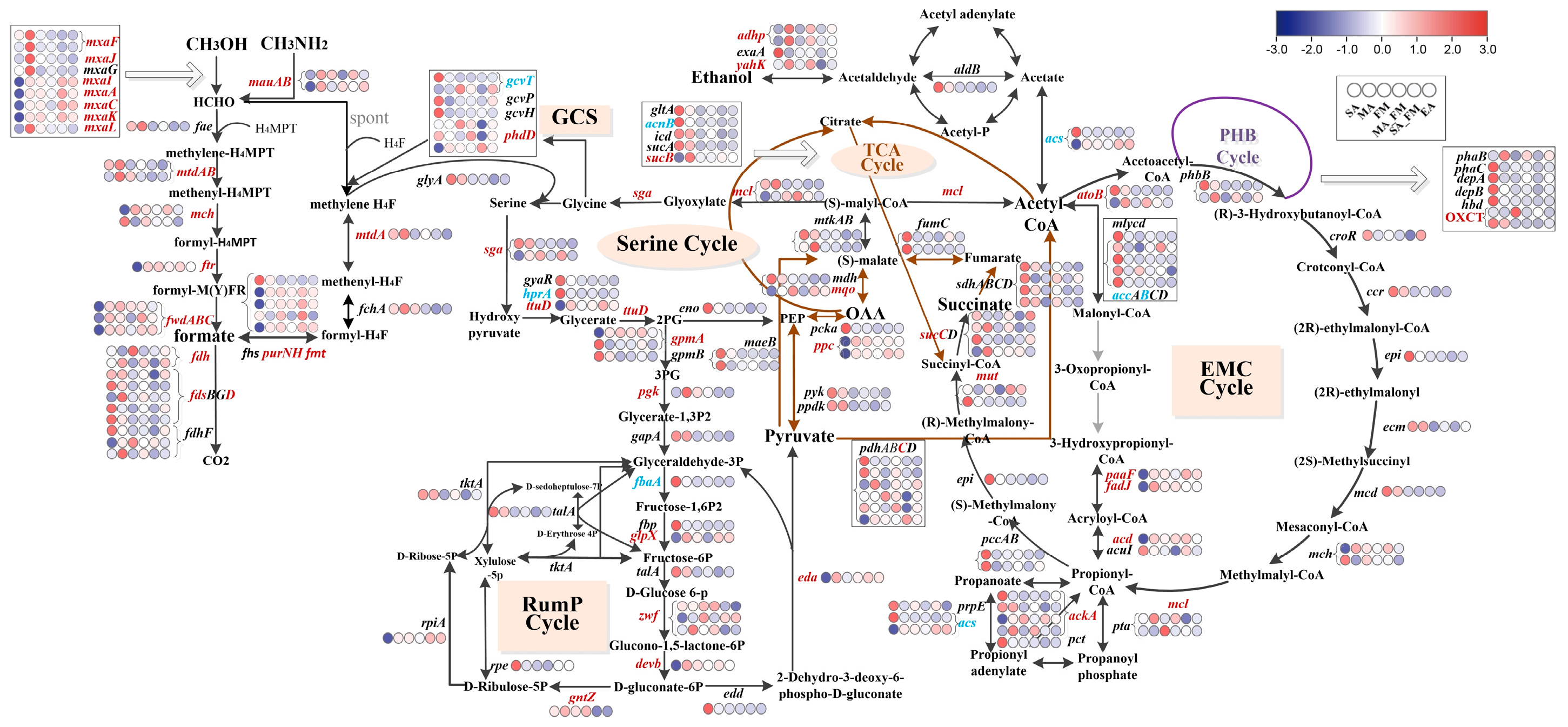 Ijms 24 07521 g005 Ijms 24 07521 g005