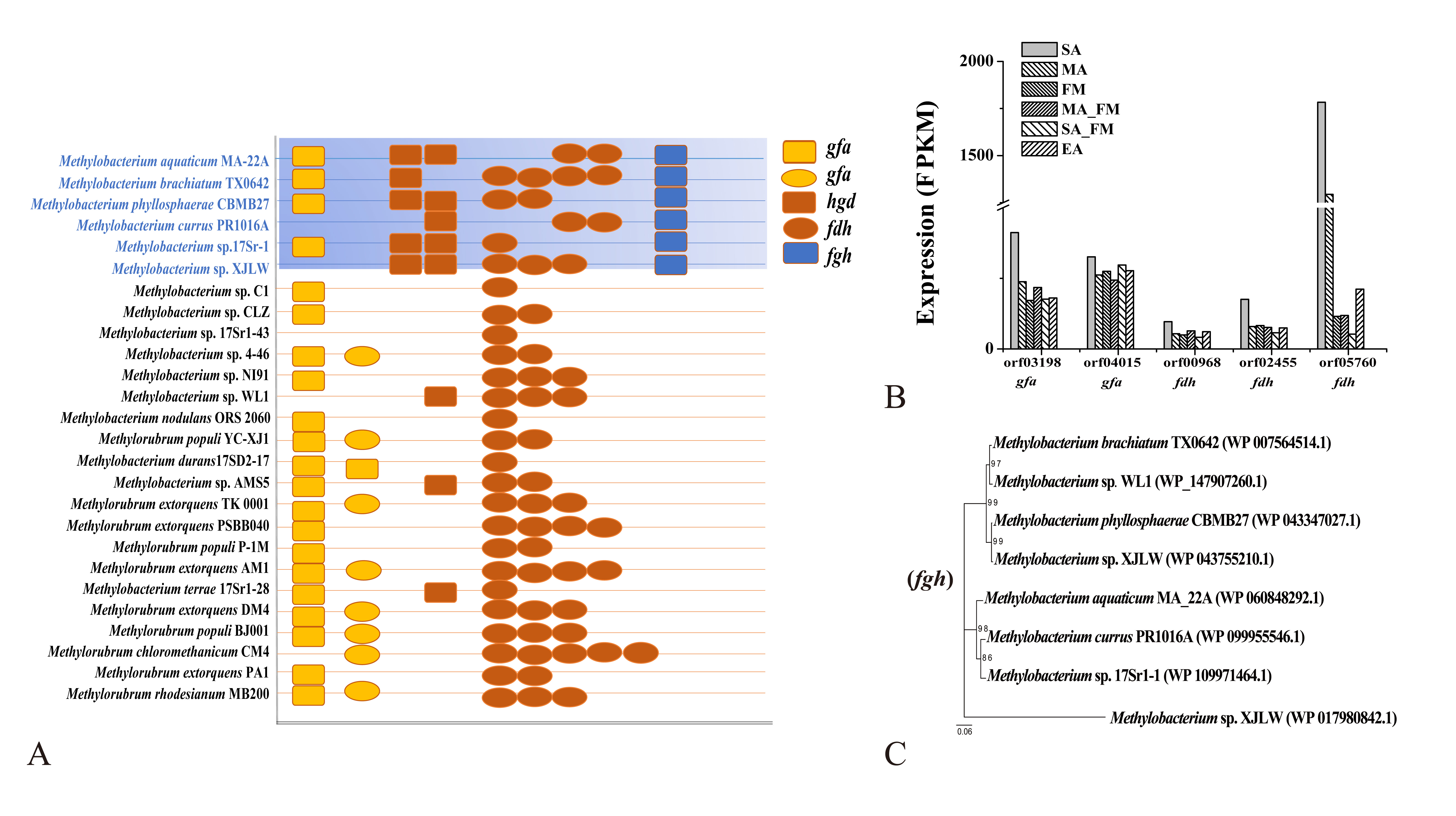Ijms 24 07521 g006 Ijms 24 07521 g006