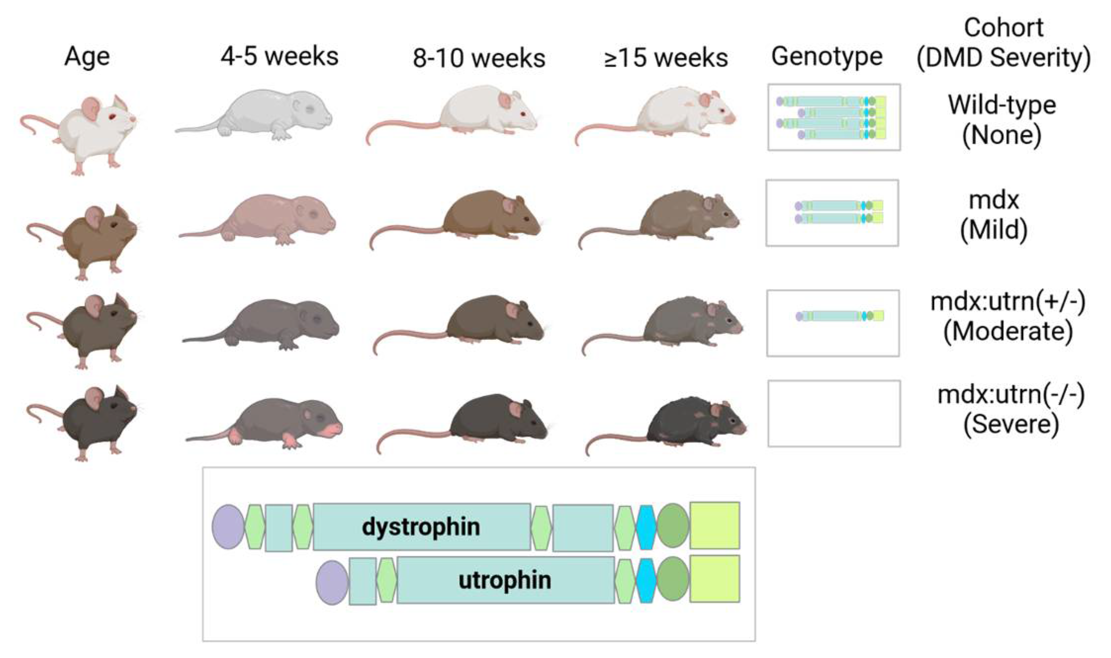 Ijms 24 07522 g001 Ijms 24 07522 g001