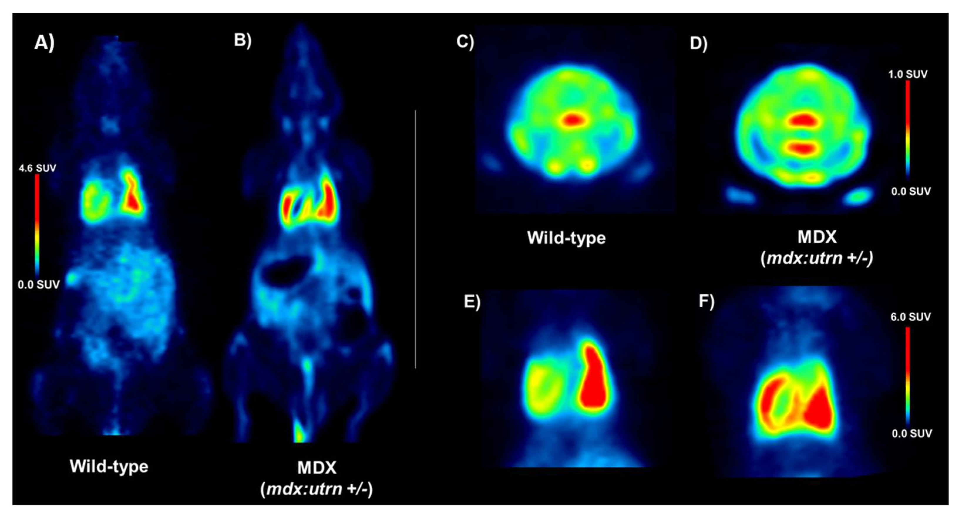 Ijms 24 07522 g003 Ijms 24 07522 g003