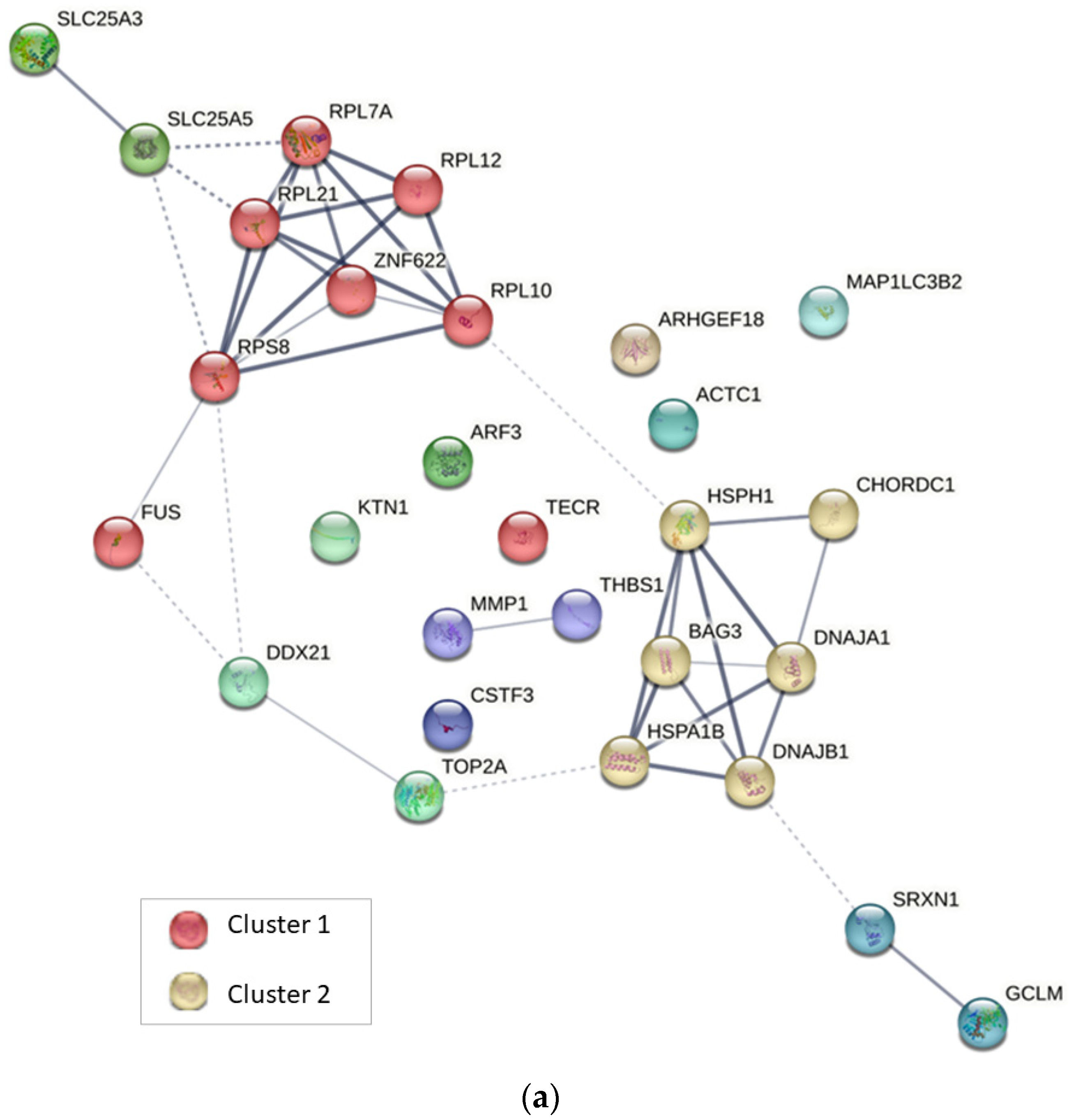 Ijms 24 07531 g004a Ijms 24 07531 g004a