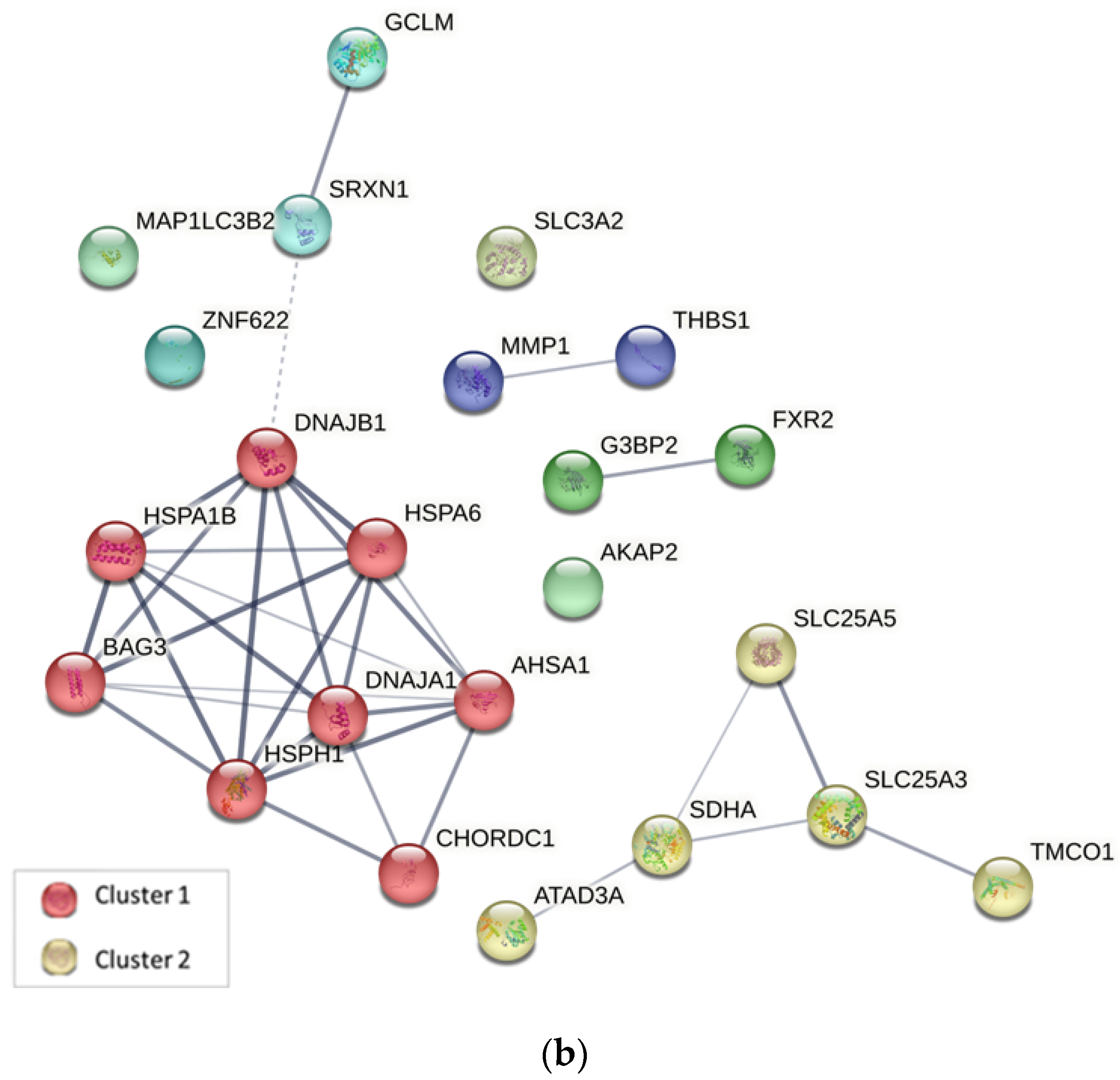 Ijms 24 07531 g004b Ijms 24 07531 g004b