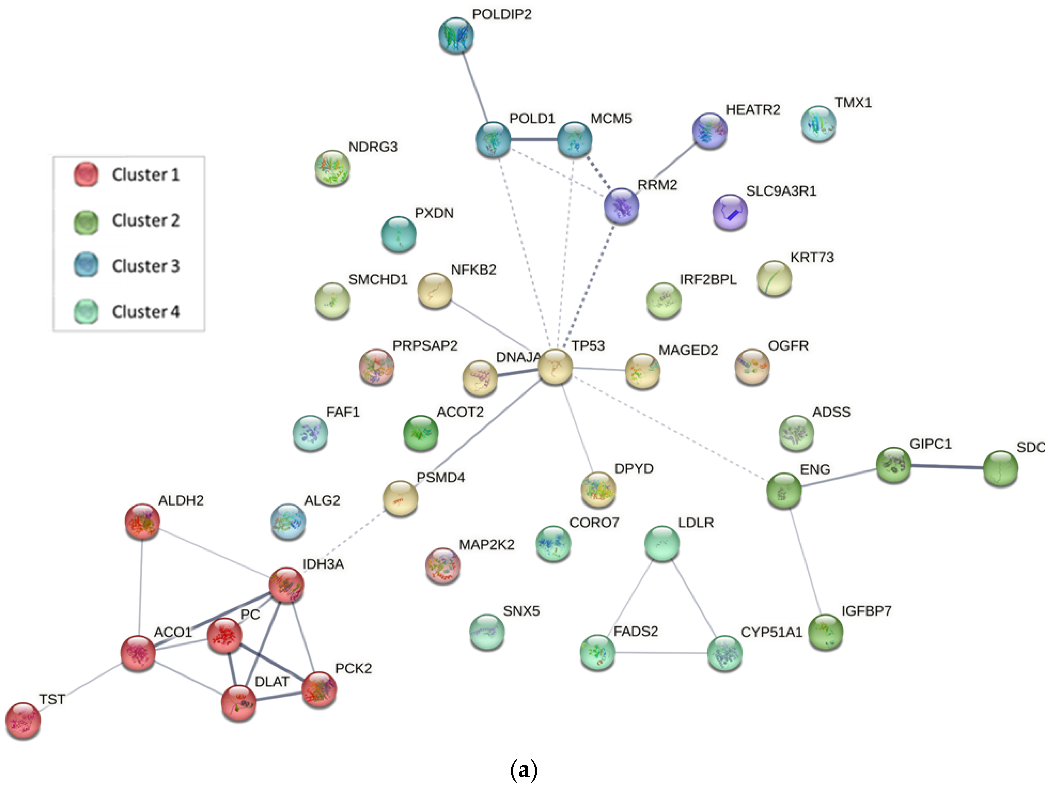 Ijms 24 07531 g005a Ijms 24 07531 g005a