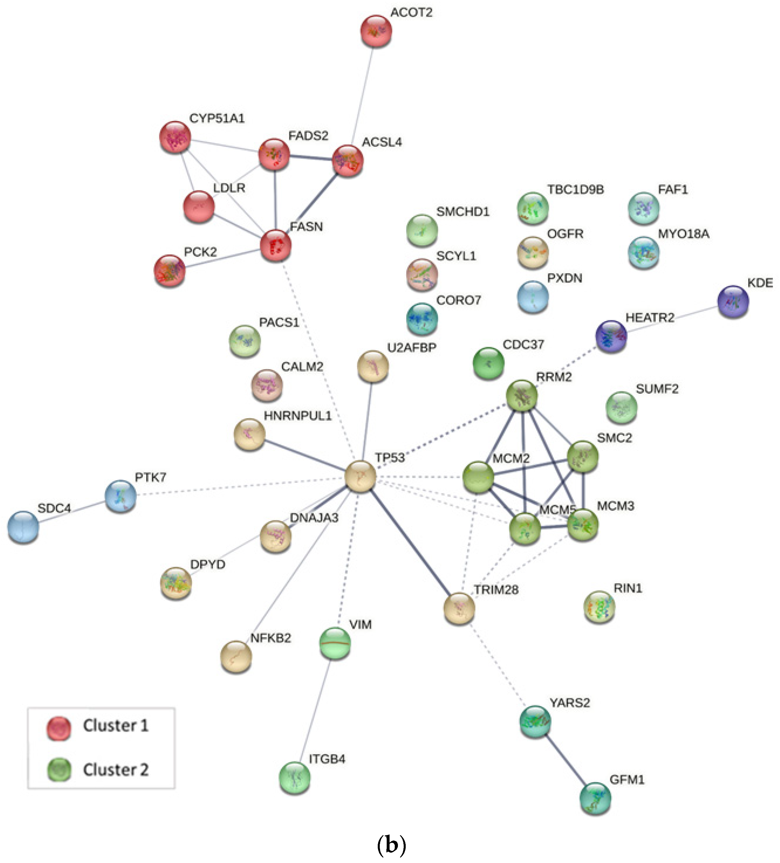 Ijms 24 07531 g005b Ijms 24 07531 g005b