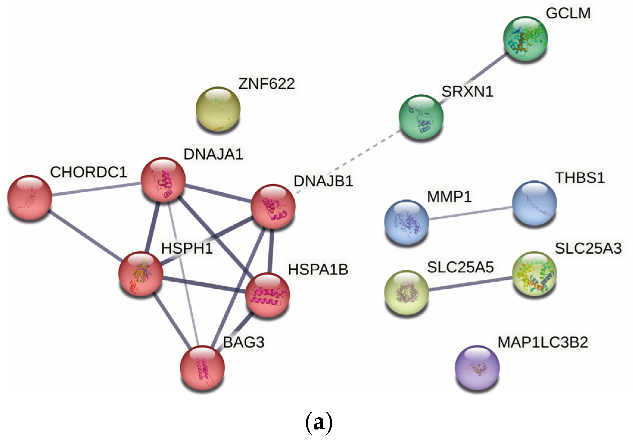 Ijms 24 07531 g006a Ijms 24 07531 g006a