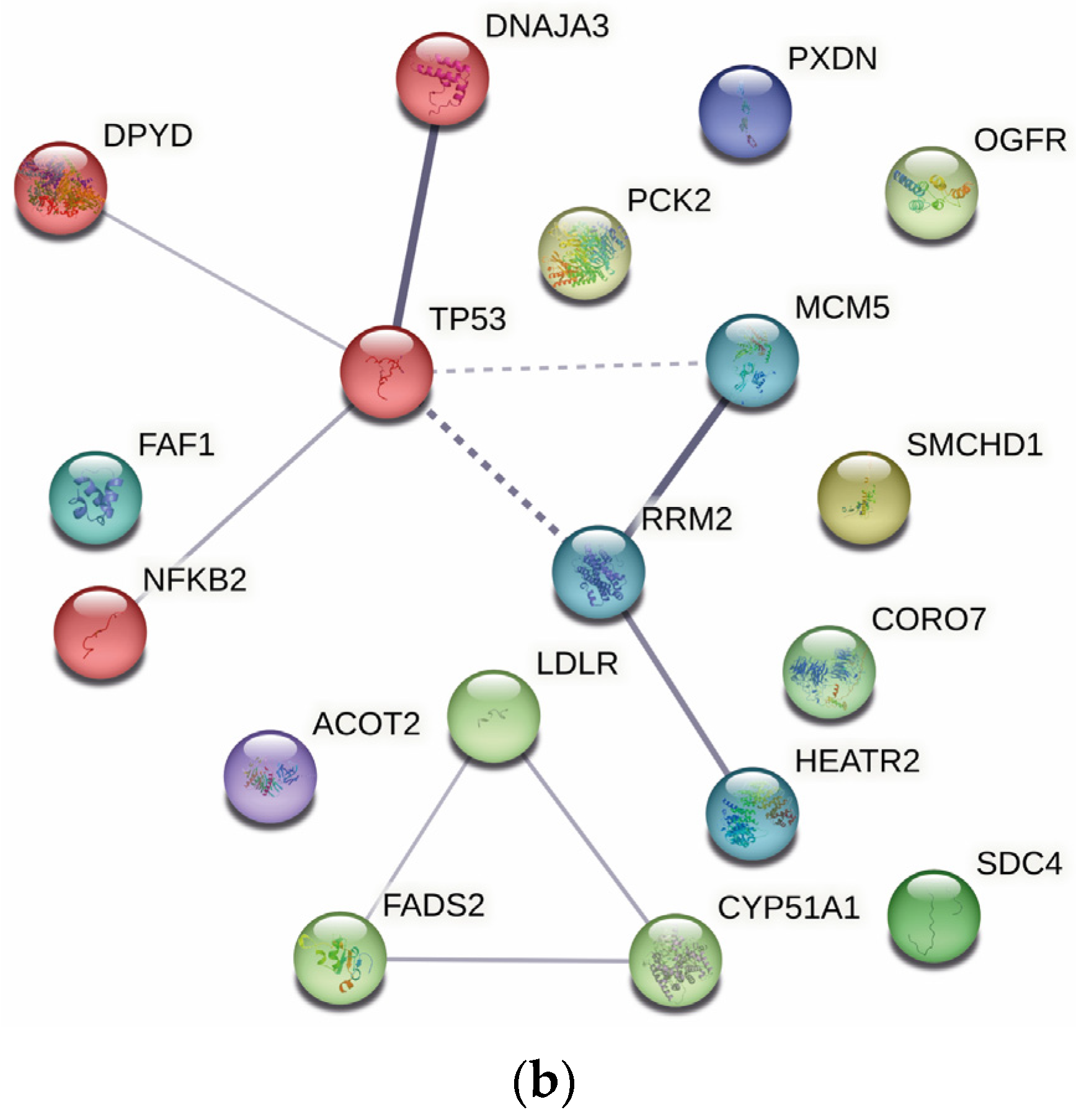 Ijms 24 07531 g006b Ijms 24 07531 g006b