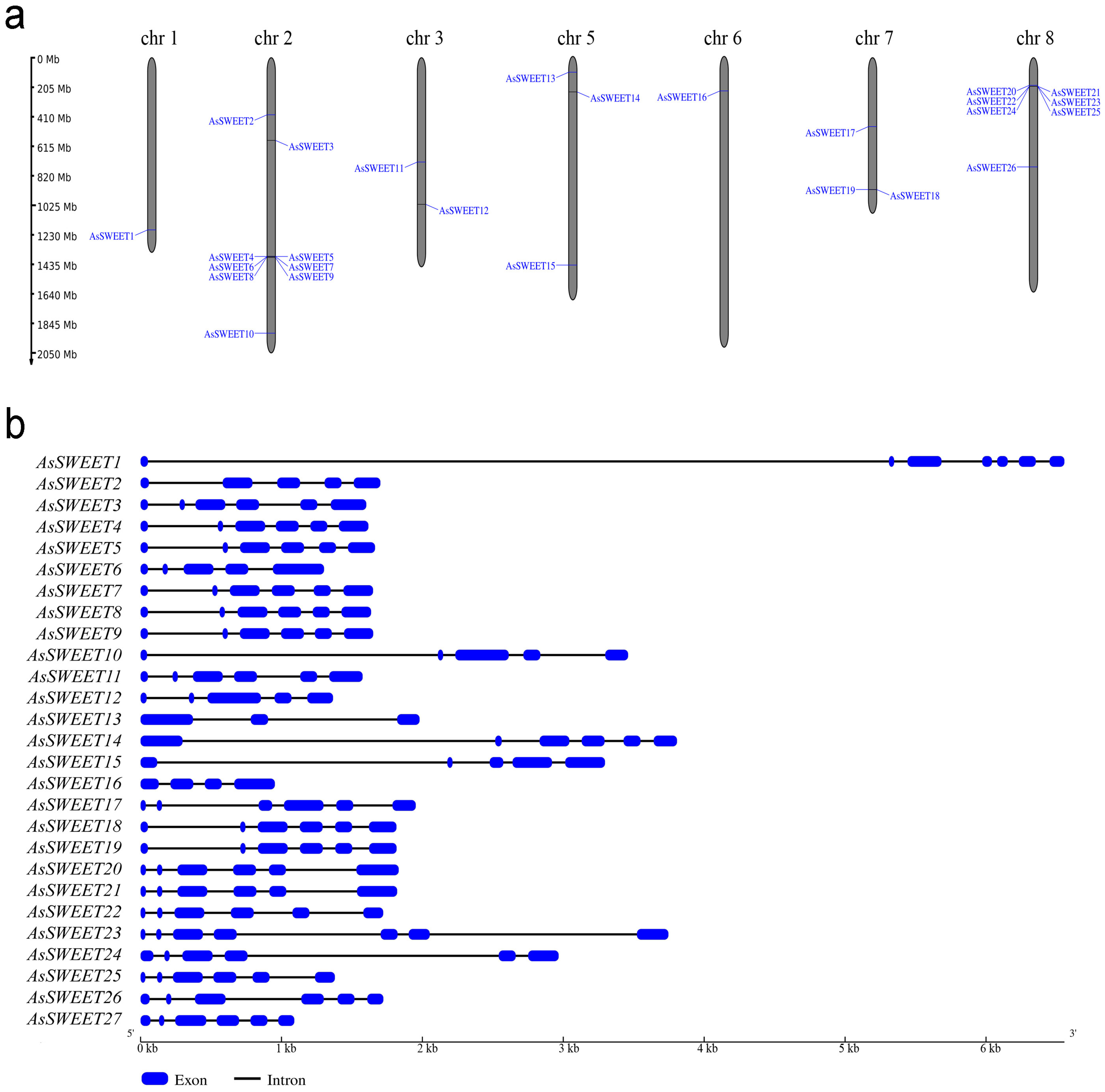 Ijms 24 07533 g001 Ijms 24 07533 g001