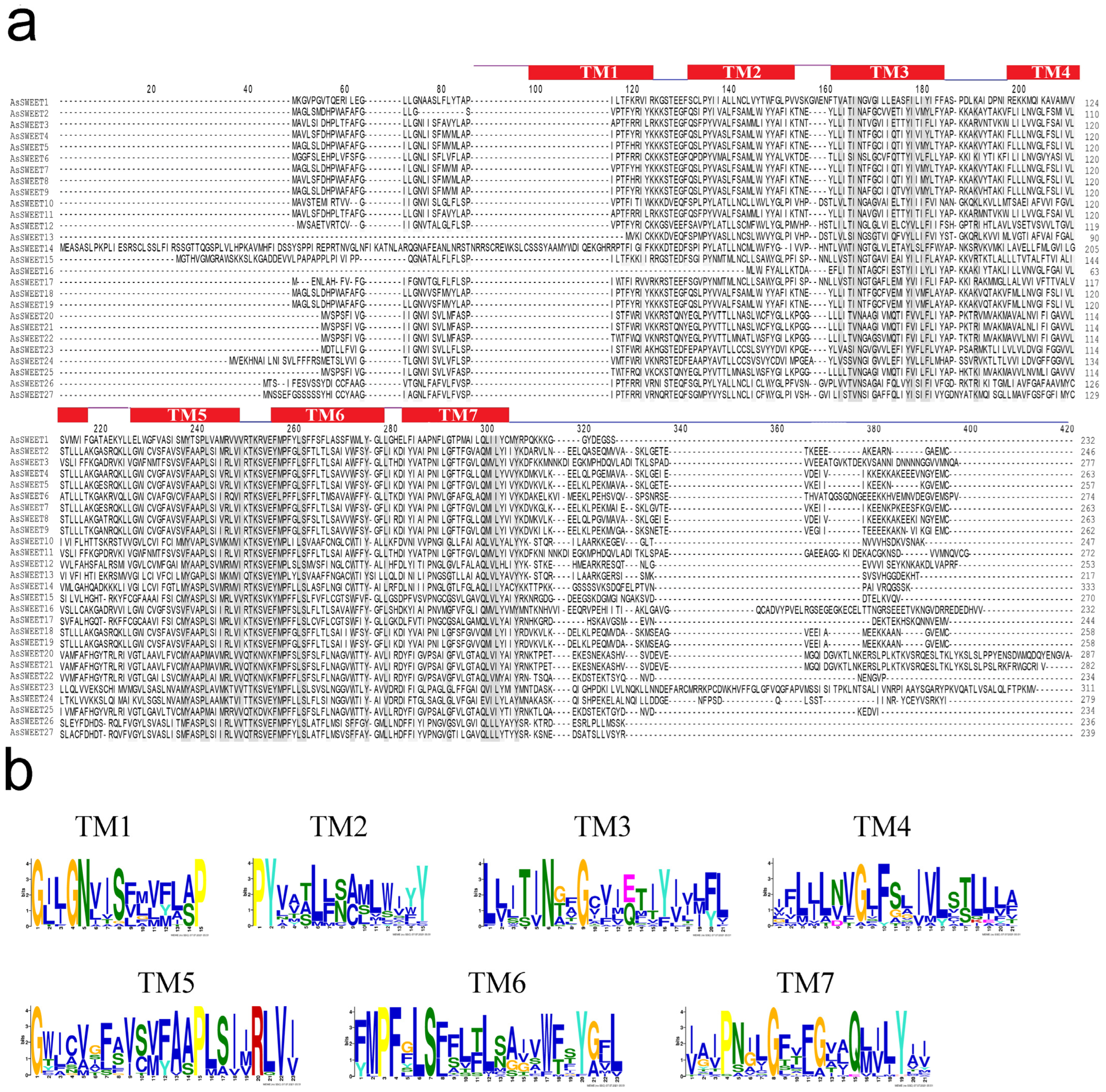 Ijms 24 07533 g002 Ijms 24 07533 g002