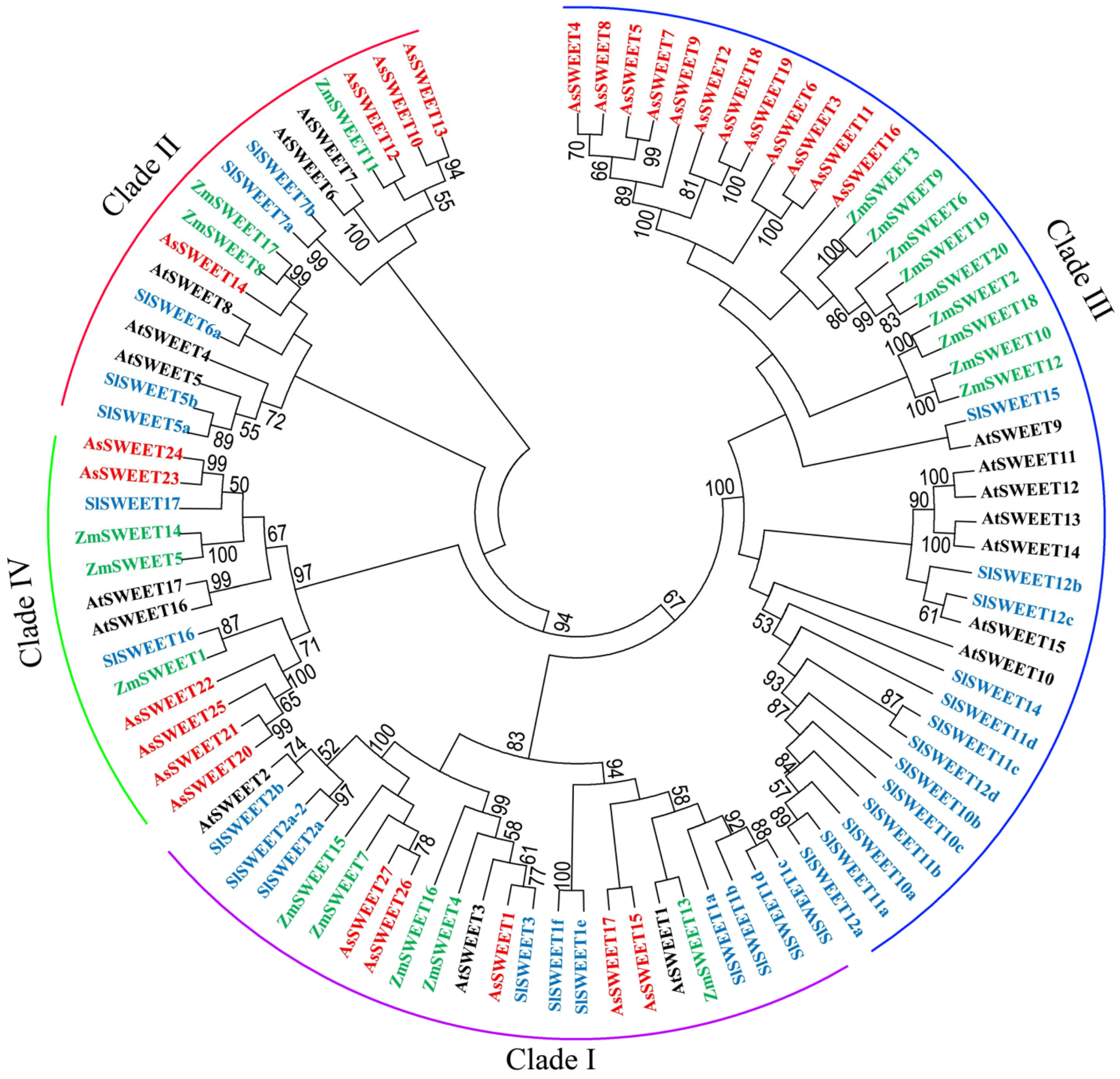 Ijms 24 07533 g004 Ijms 24 07533 g004
