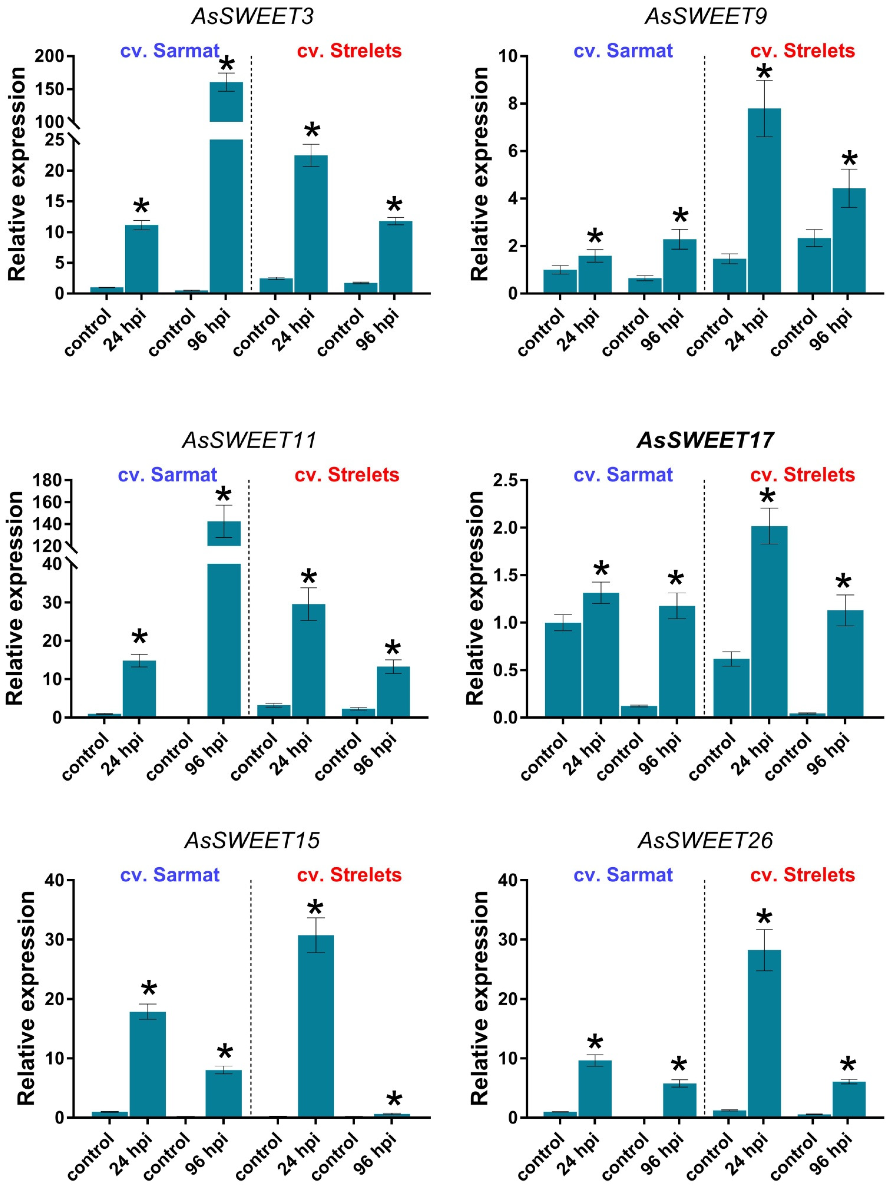 Ijms 24 07533 g008 Ijms 24 07533 g008