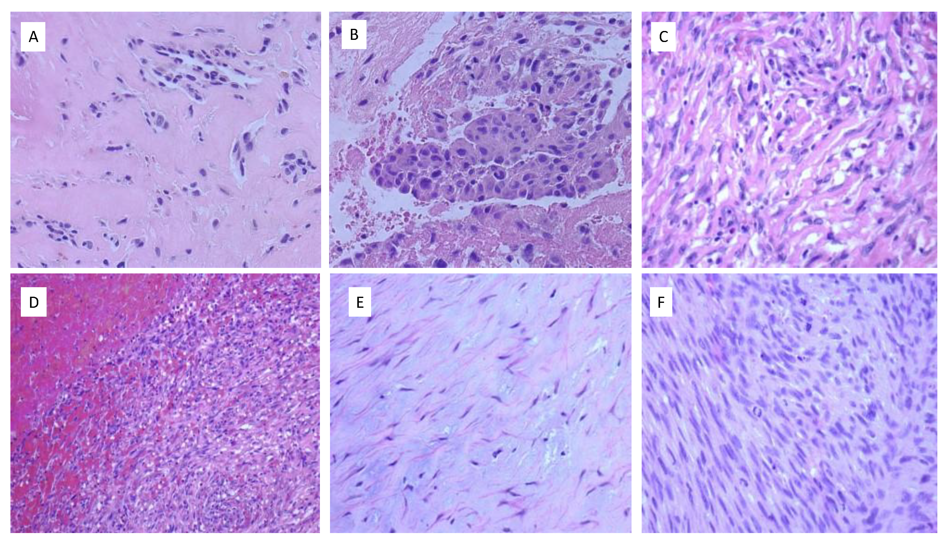 Ijms 24 07535 g002 Ijms 24 07535 g002