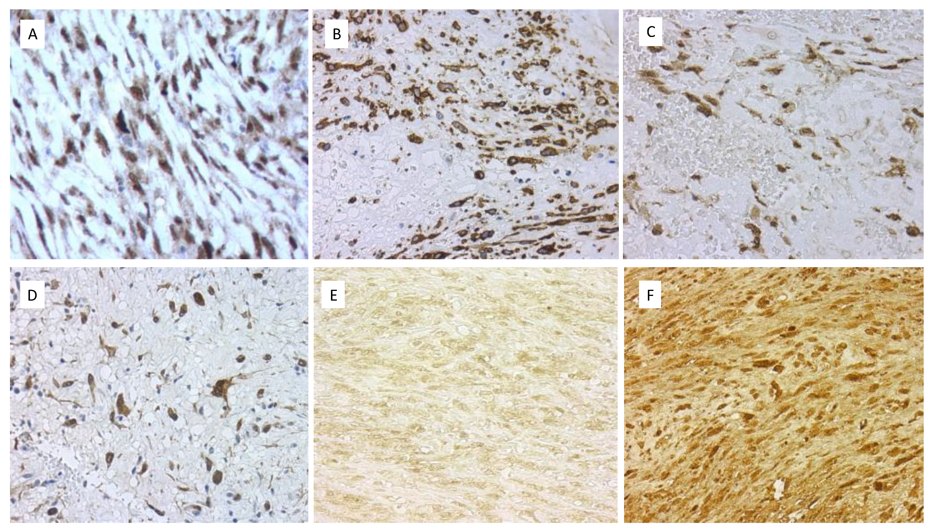 Ijms 24 07535 g003 Ijms 24 07535 g003